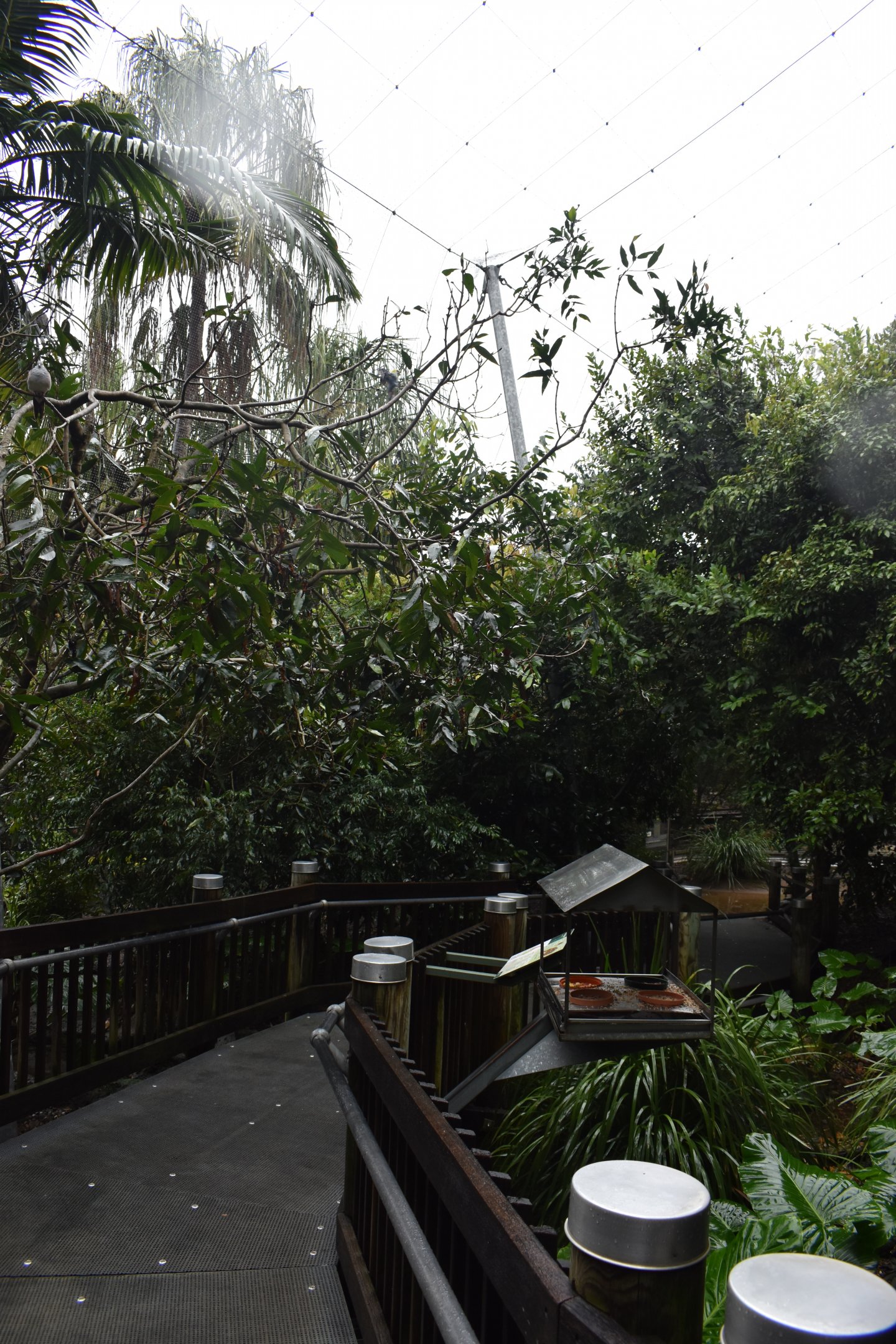 Walkthrough Aviary Interior