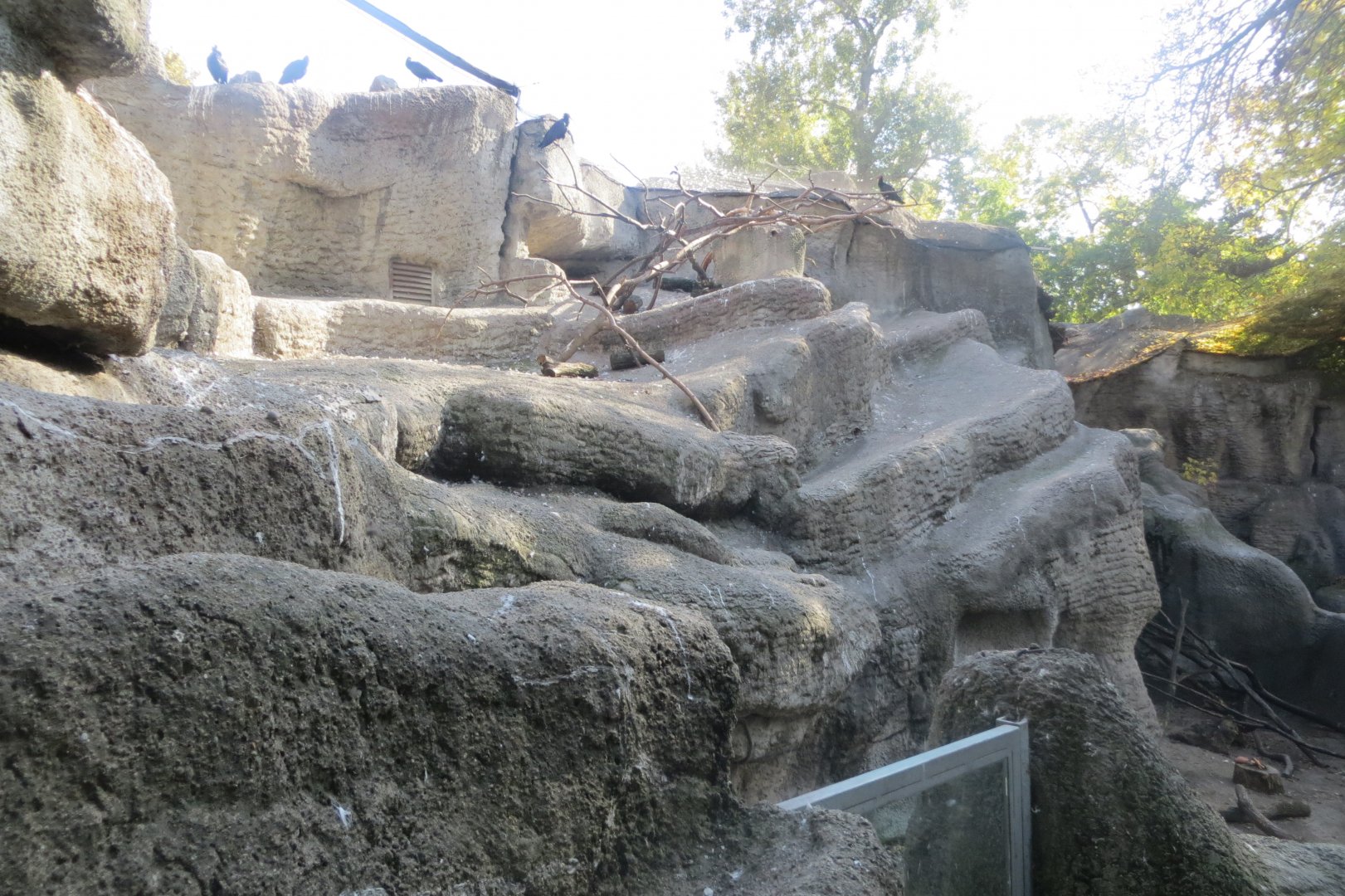 Walkthrough aviary Little Rock 171018