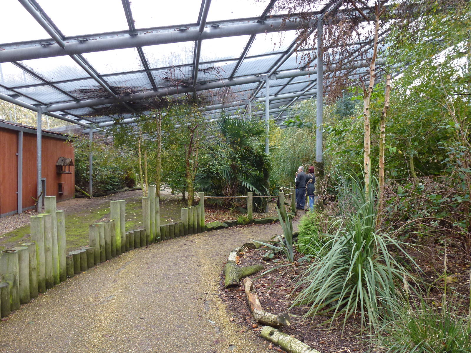 Walkthrough aviary, November 2013.