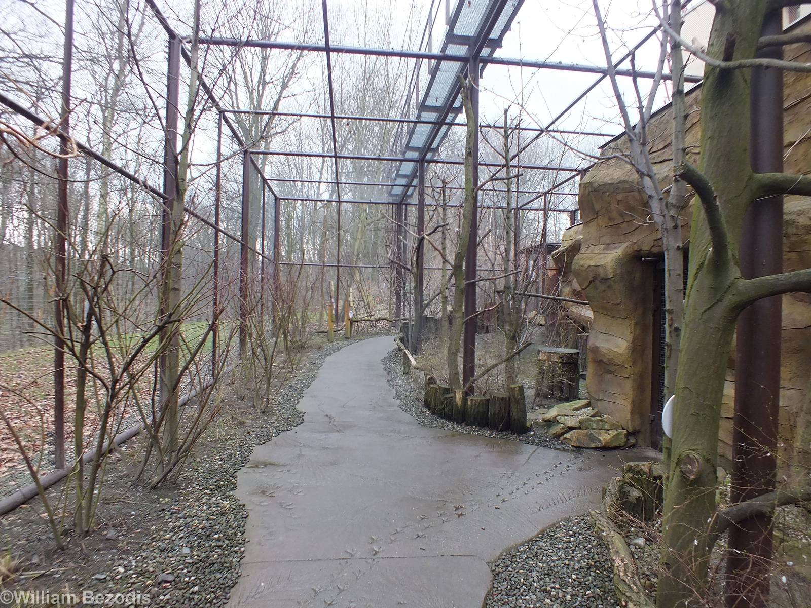 Walkthrough Aviary - Papua (Species List in Description)