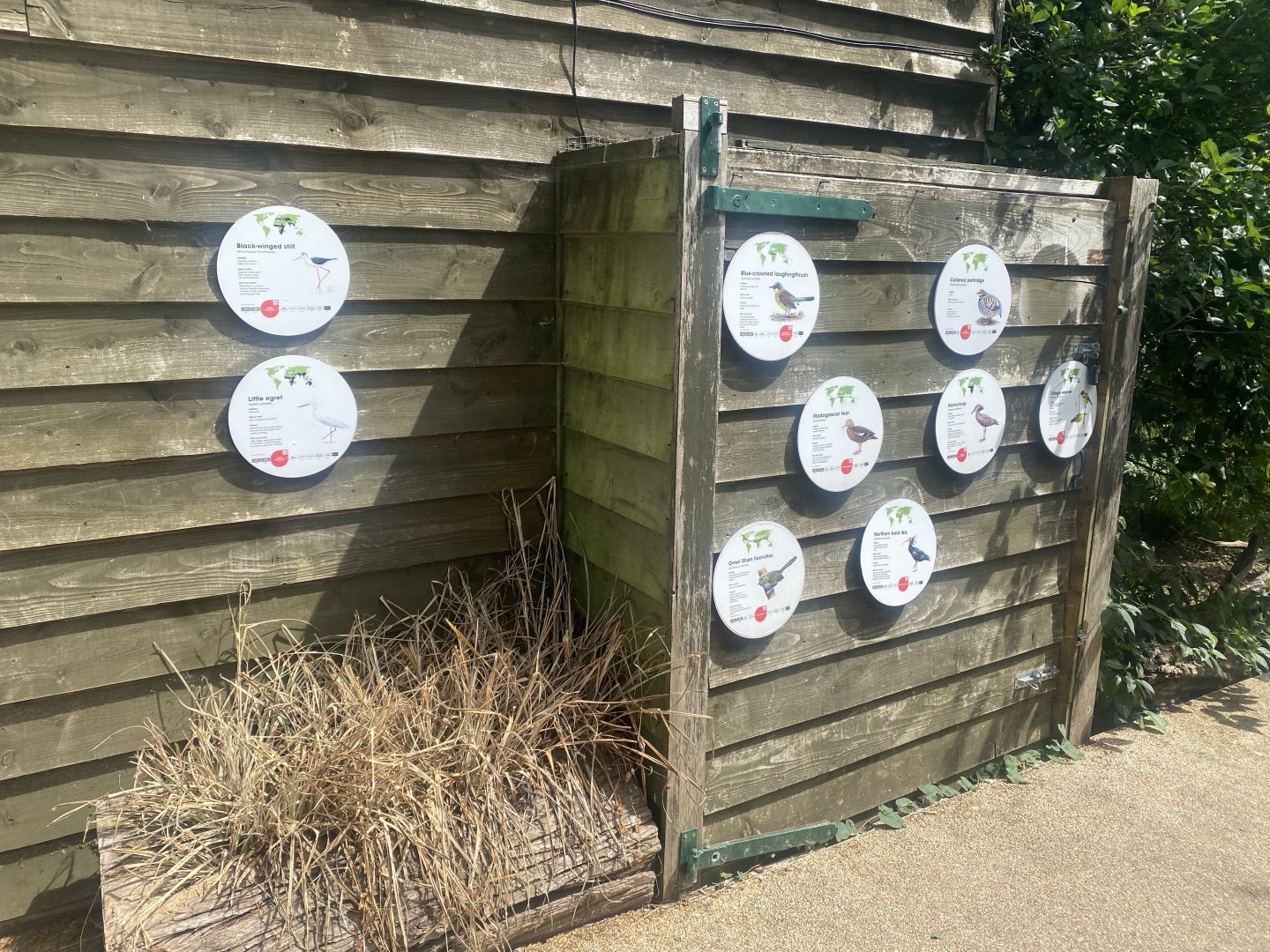 Walkthrough Aviary signage 040822