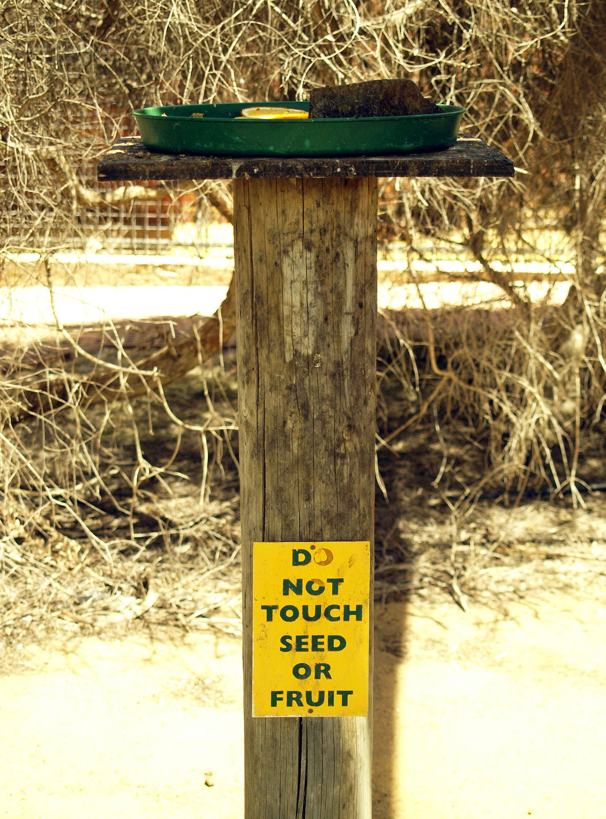 Walkthrough aviary signage and feeding station
