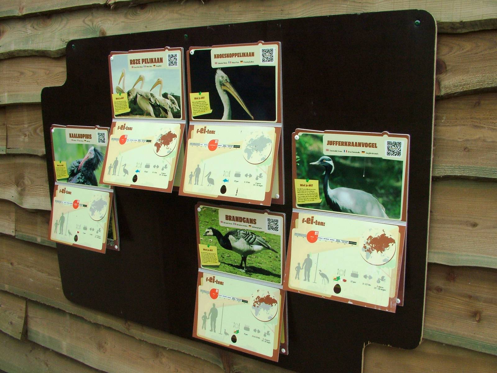 Walkthrough Aviary Signage at Dierenrijk, 31/05/12