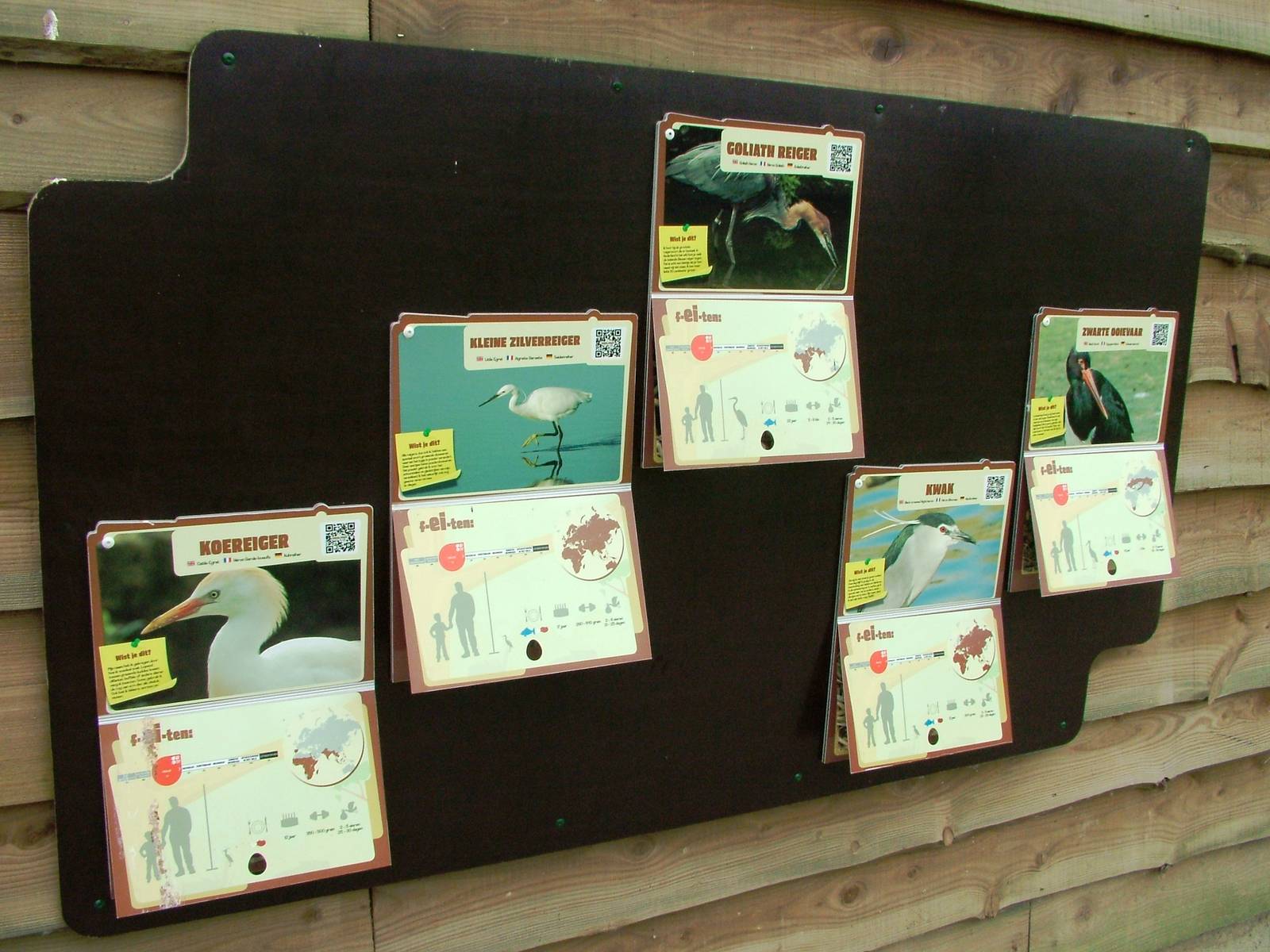 Walkthrough Aviary Signage at Dierenrijk, 31/05/12