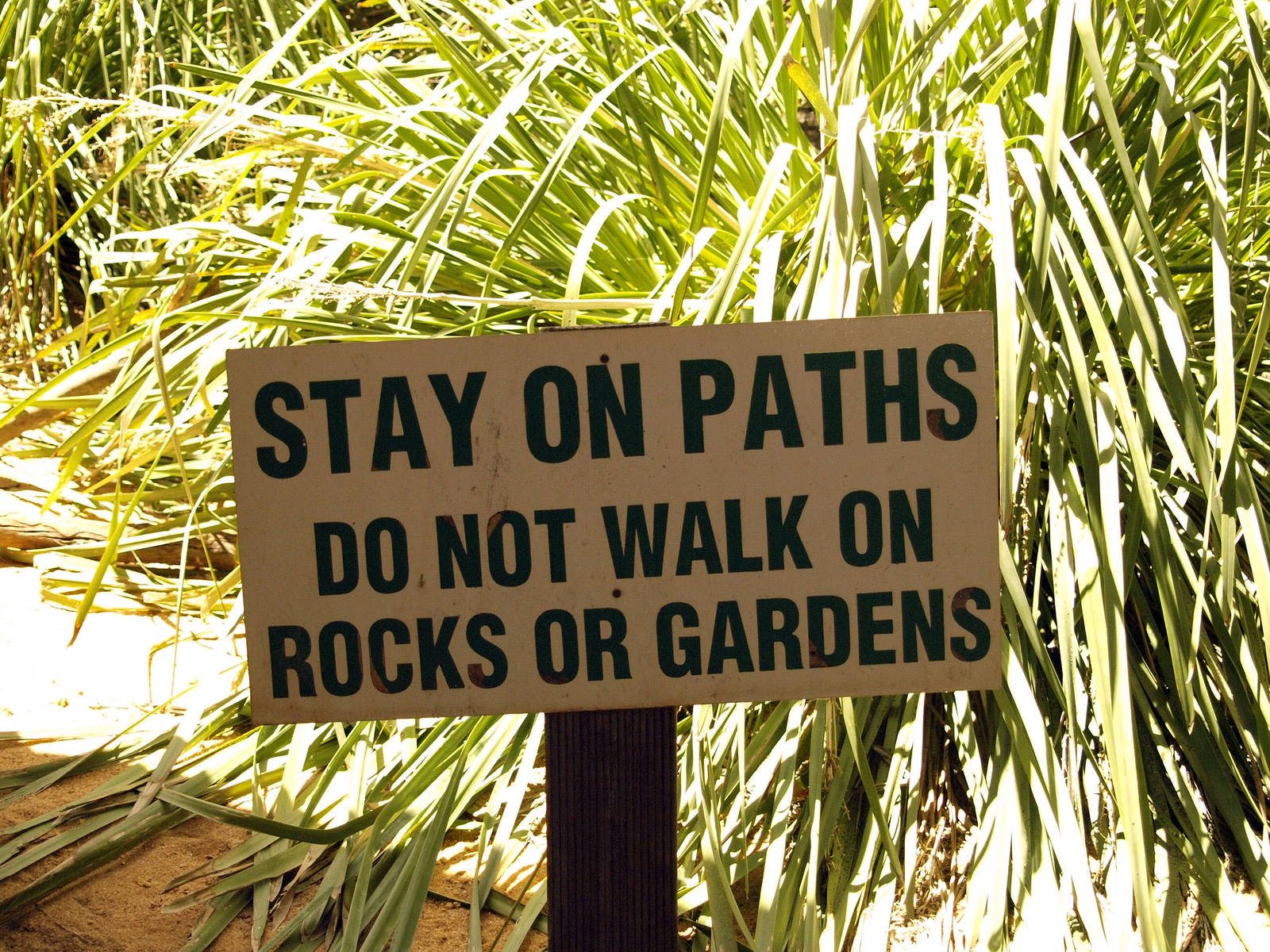 Walkthrough aviary signage