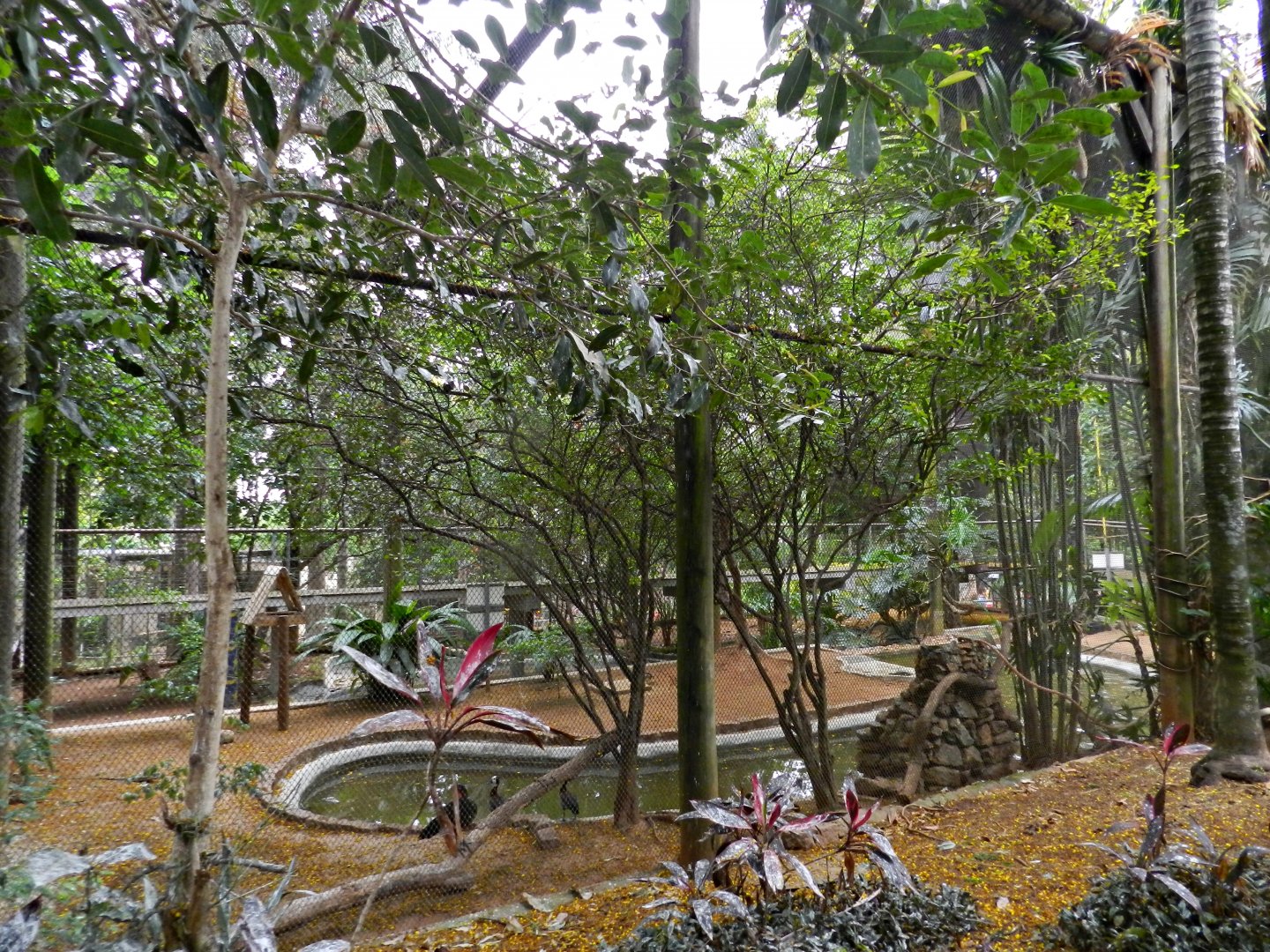 Walkthrough aviary - Sorocaba zoo (PZMQB)