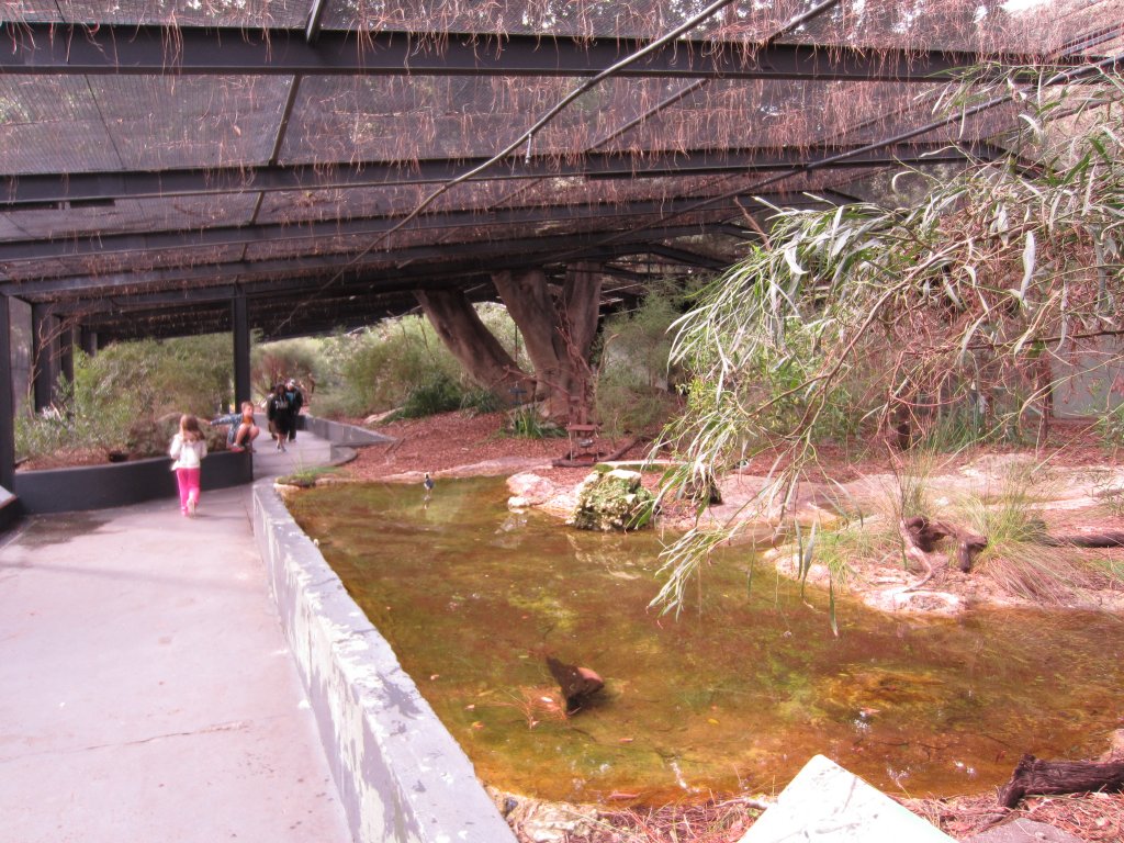 Walkthrough aviary - Southwest Birds