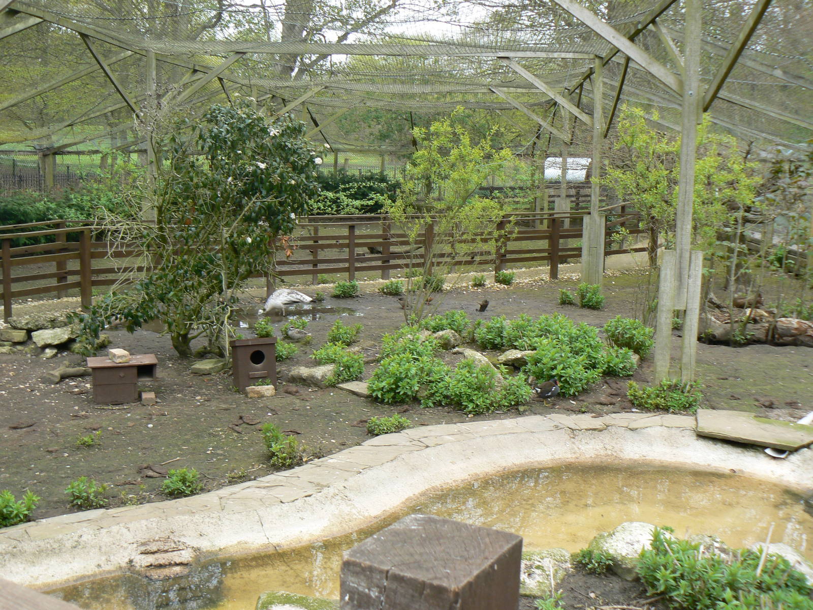 Walkthrough Aviary View From Bridge