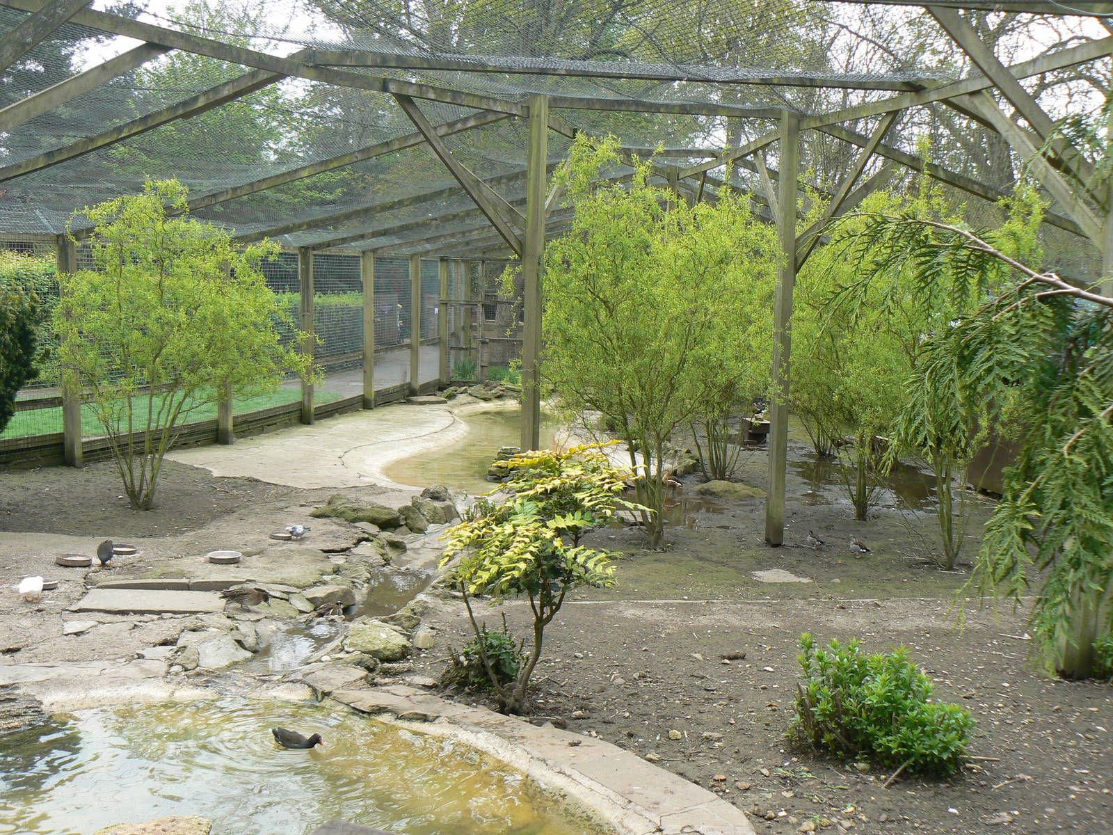 Walkthrough Aviary View From Bridge