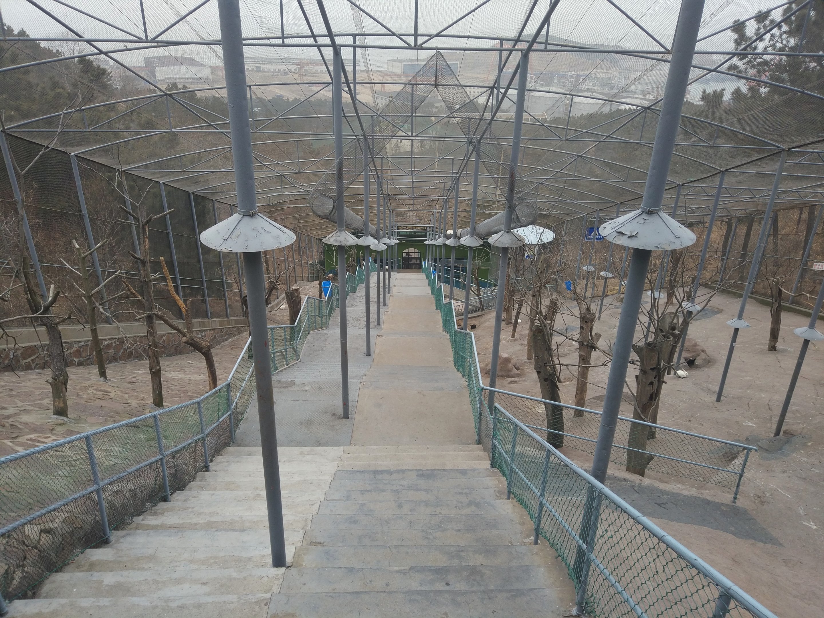 Walkthrough Aviary (with squirrel trails)
