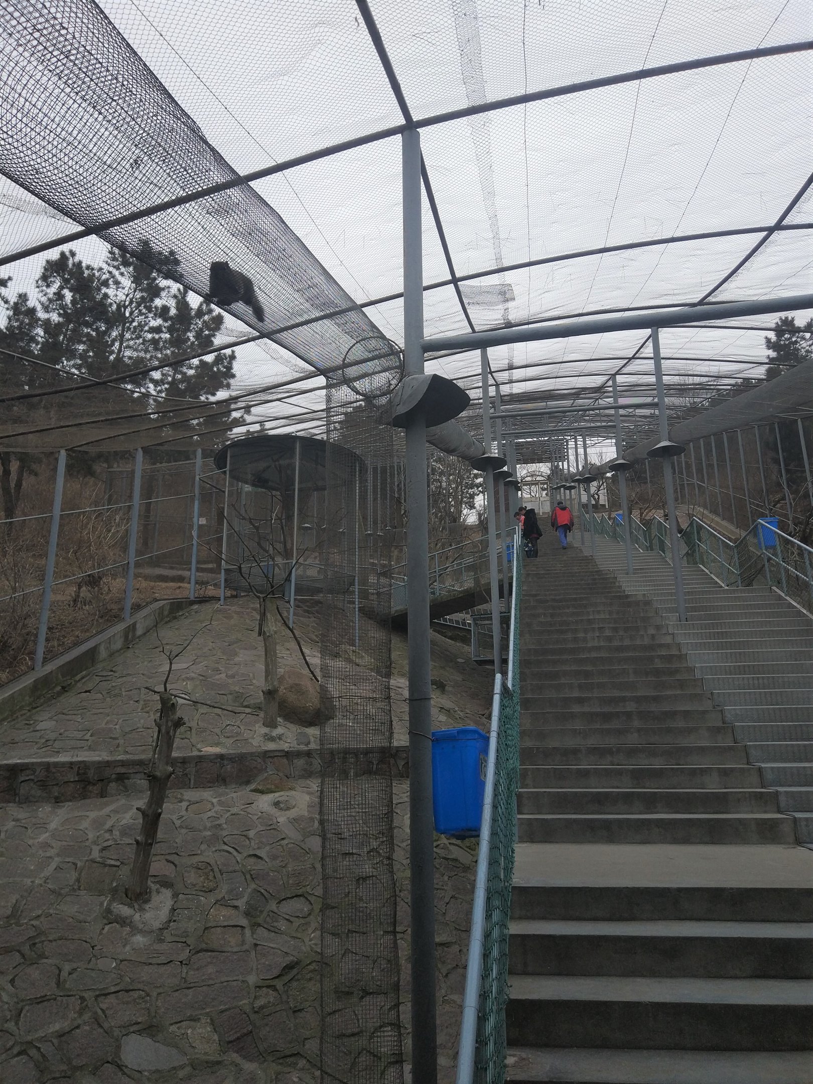 Walkthrough Aviary (with squirrel trails)