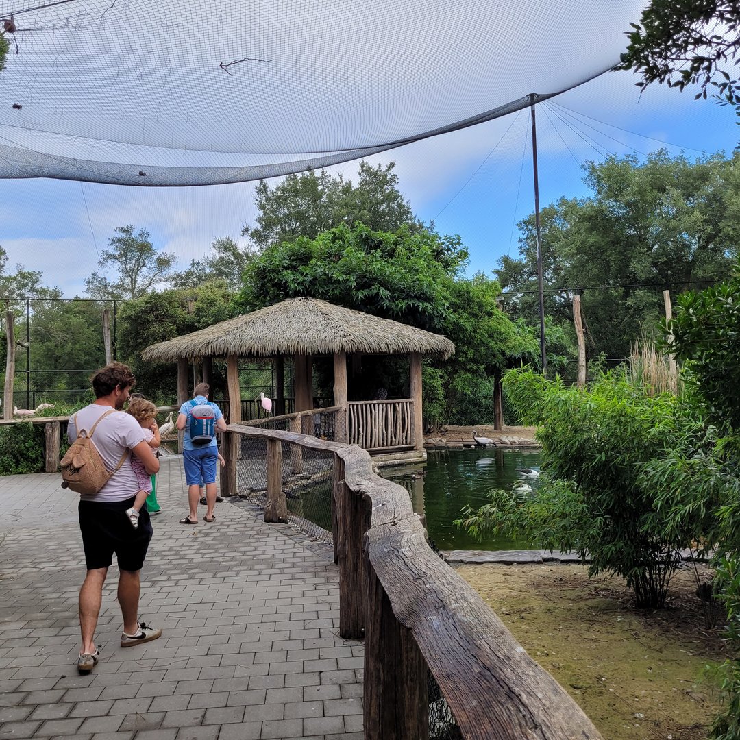 Walkthrough aviary -Zoo de Labenne (2023)