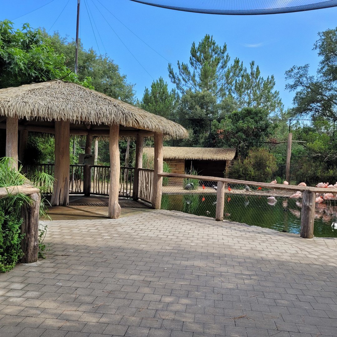 Walkthrough aviary -Zoo de Labenne (2023)