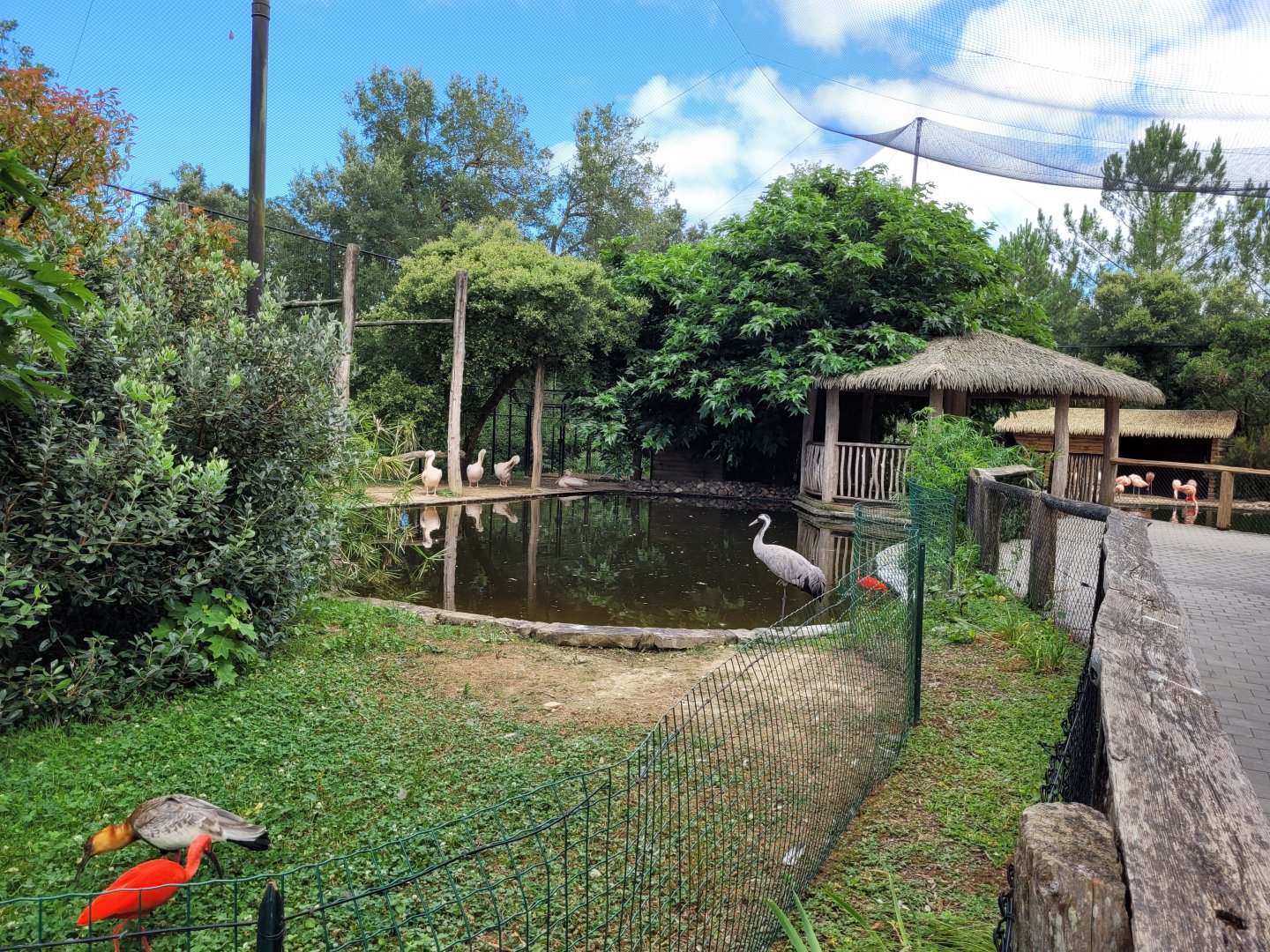 Walkthrough aviary -Zoo de Labenne (2024)