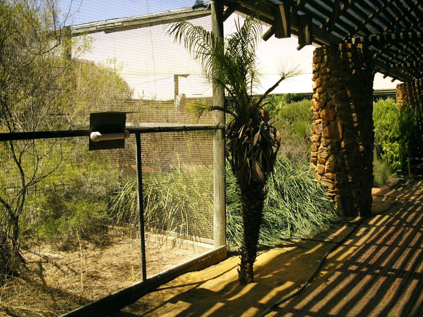 Walkthrough aviary