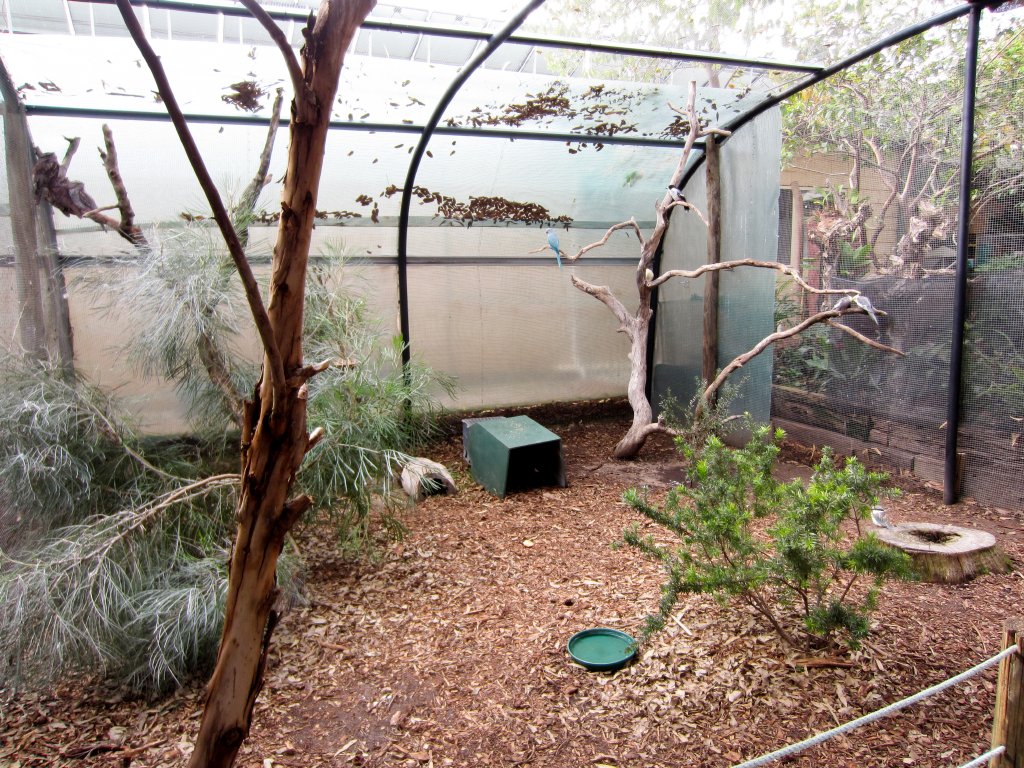 Walkthrough aviary