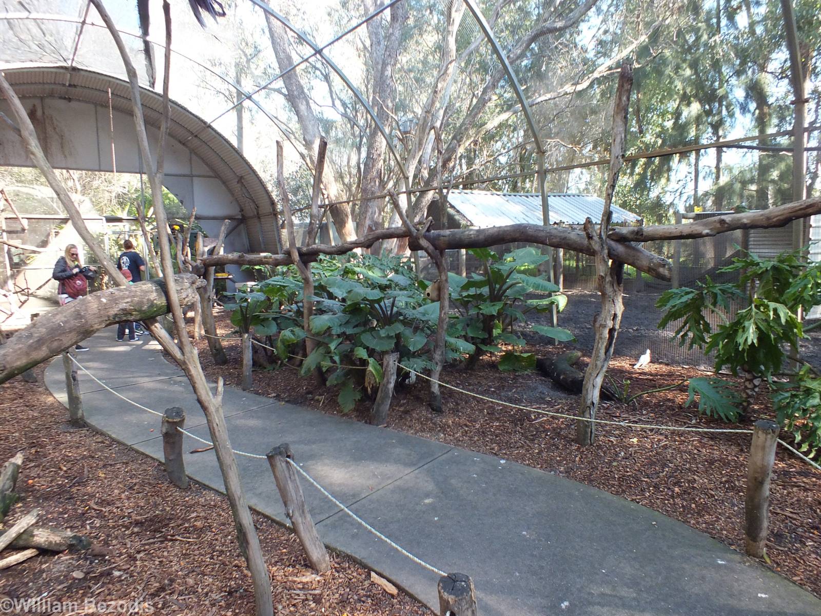 Walkthrough Aviary