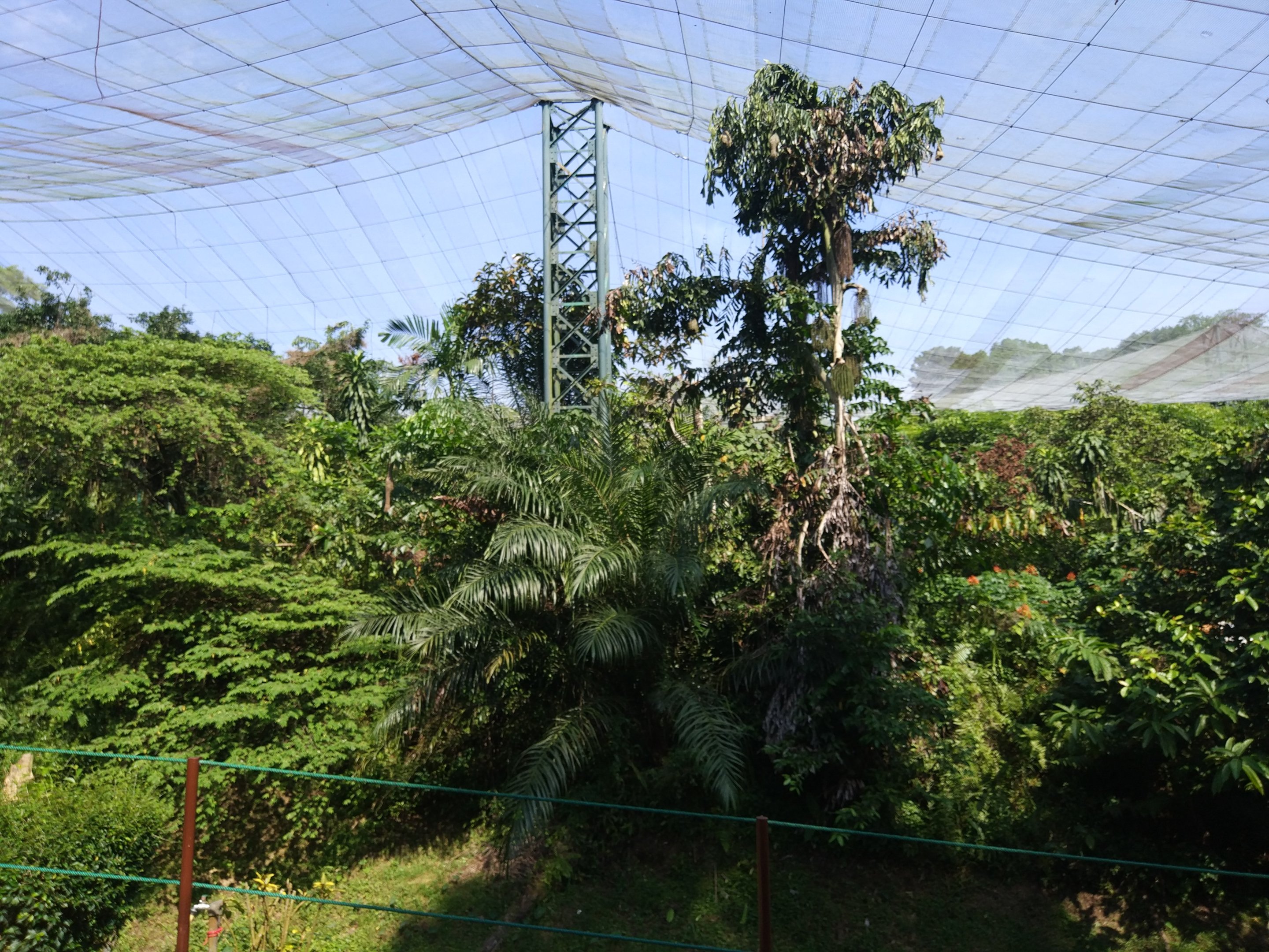 Walkthrough aviary