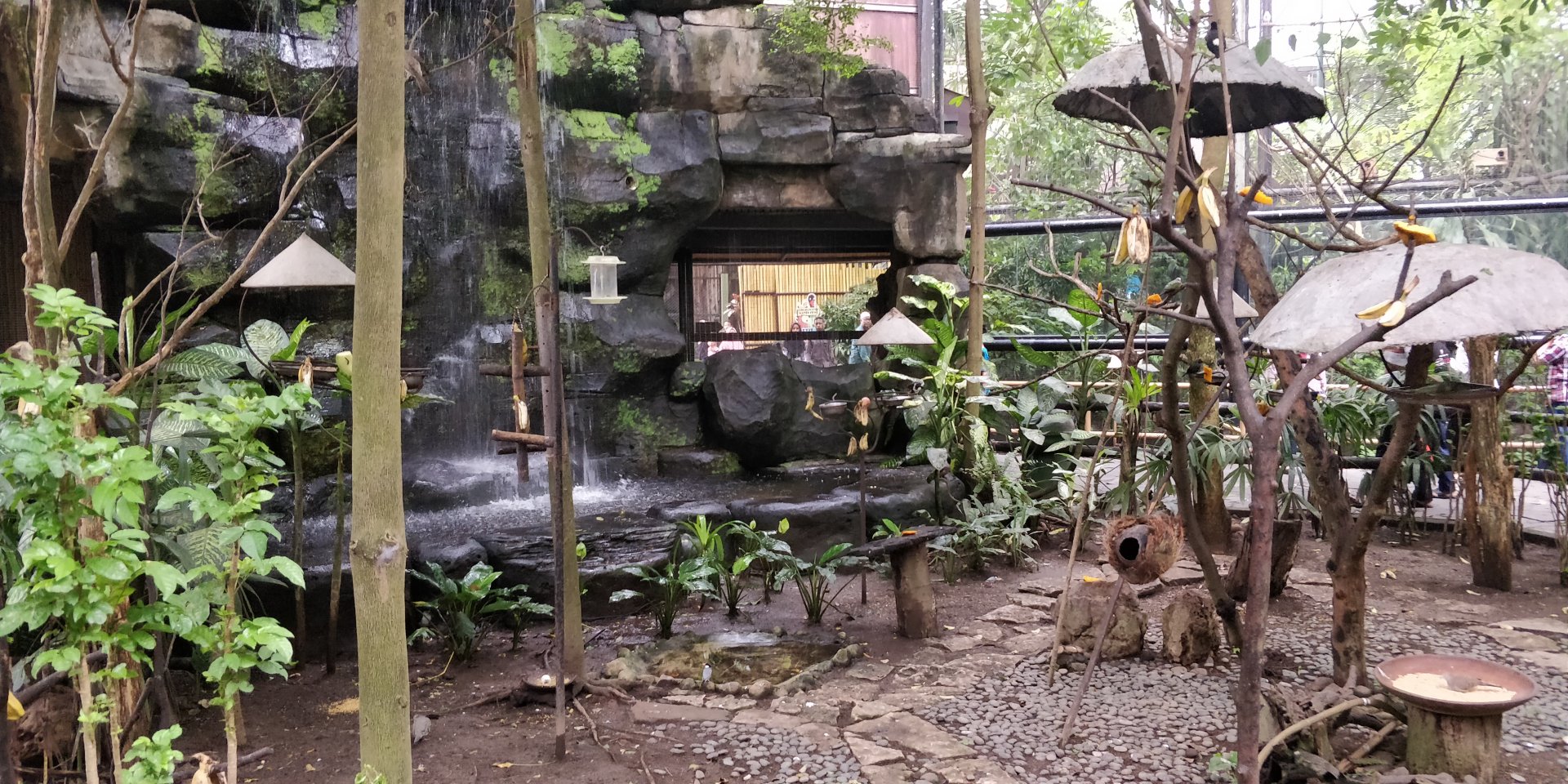 Walkthrough aviary