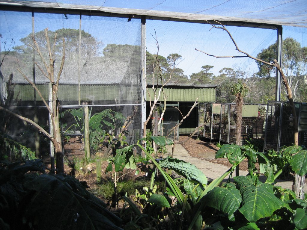 Walkthrough Aviary