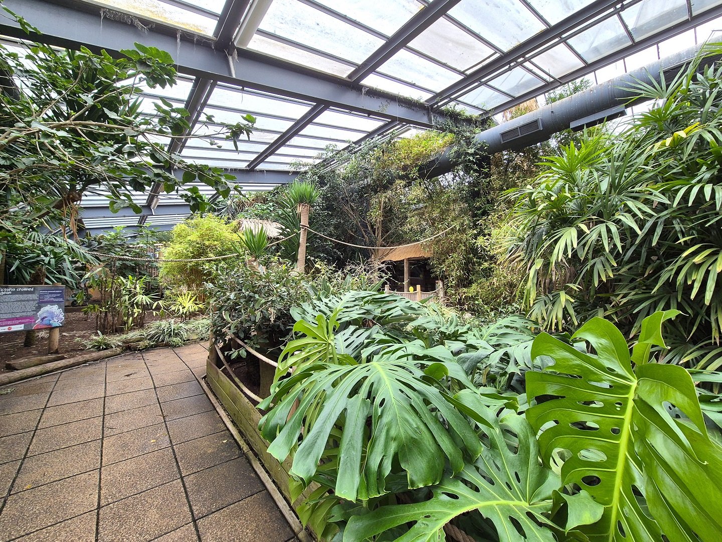 Walkthrough aviary