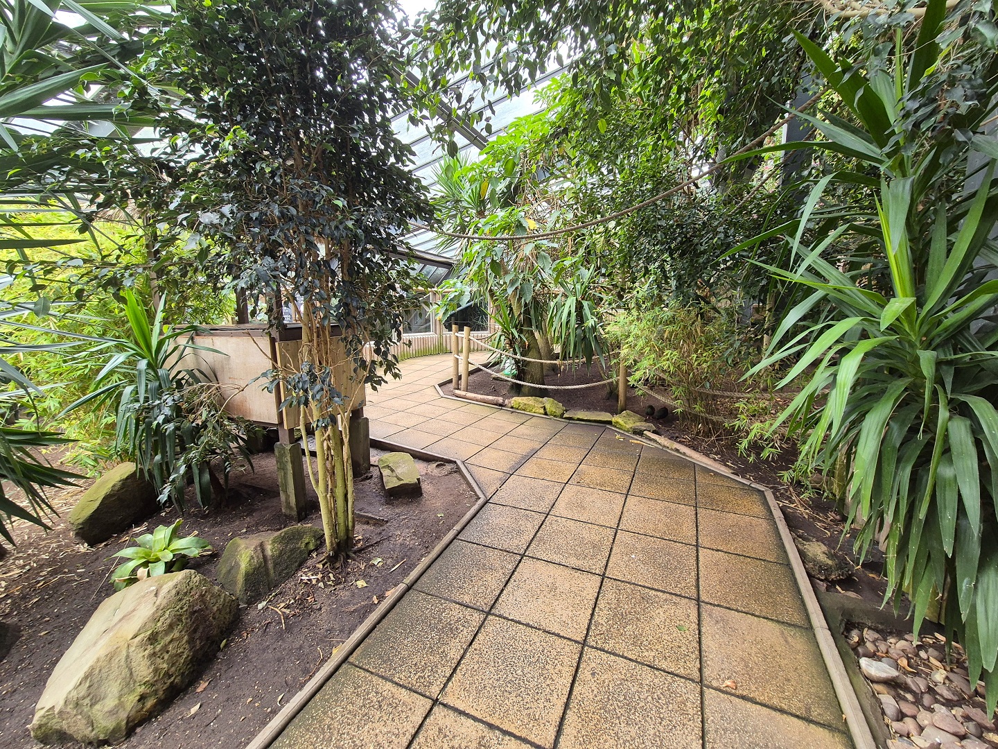 Walkthrough aviary