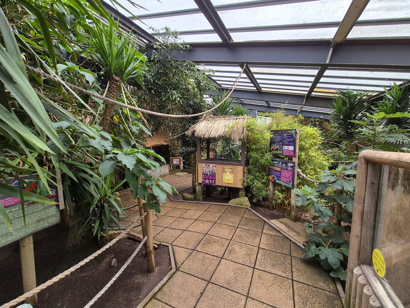 Walkthrough aviary