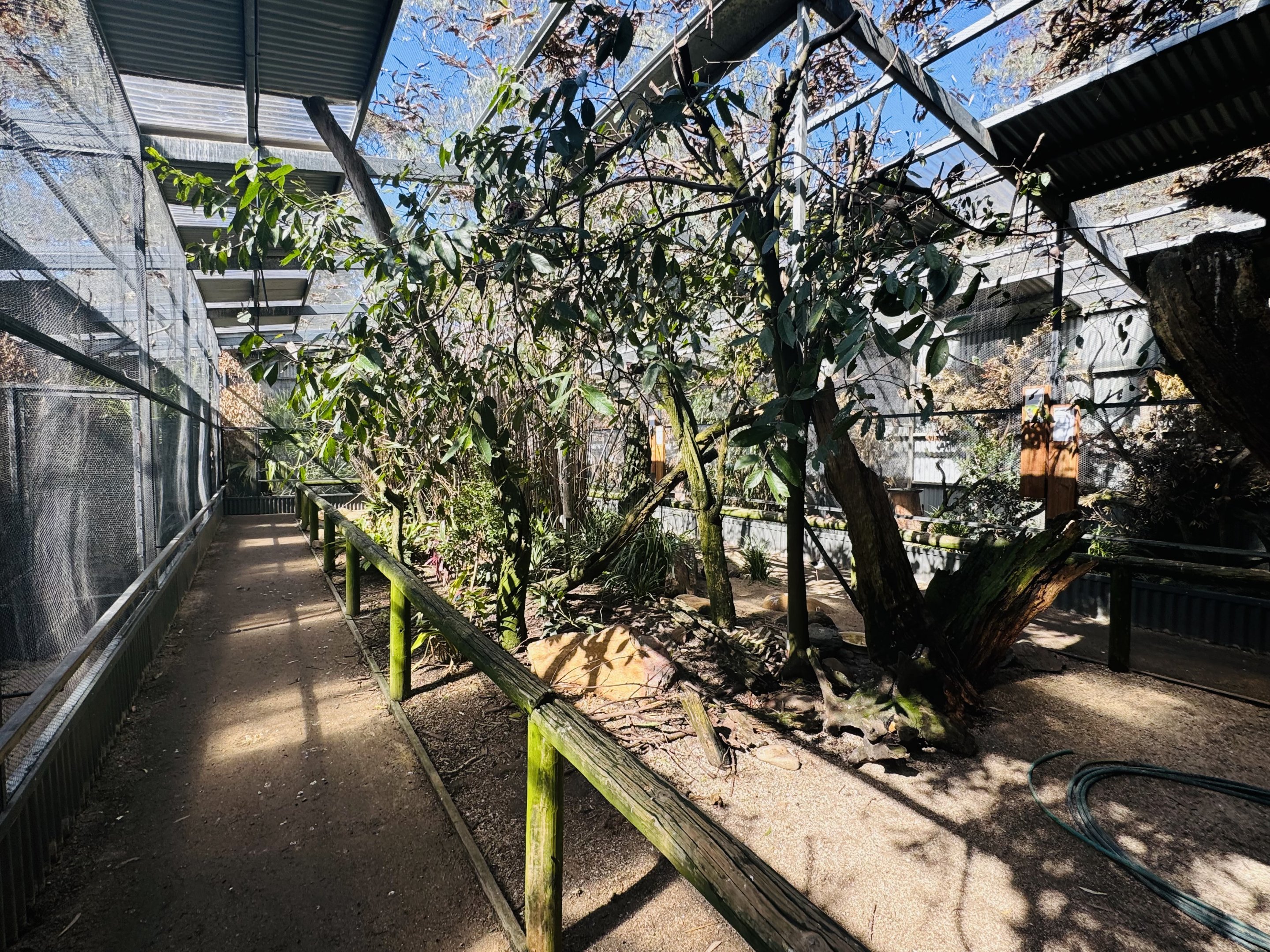 Walkthrough aviary