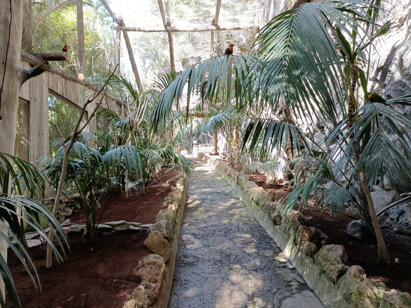 Walkthrough aviary