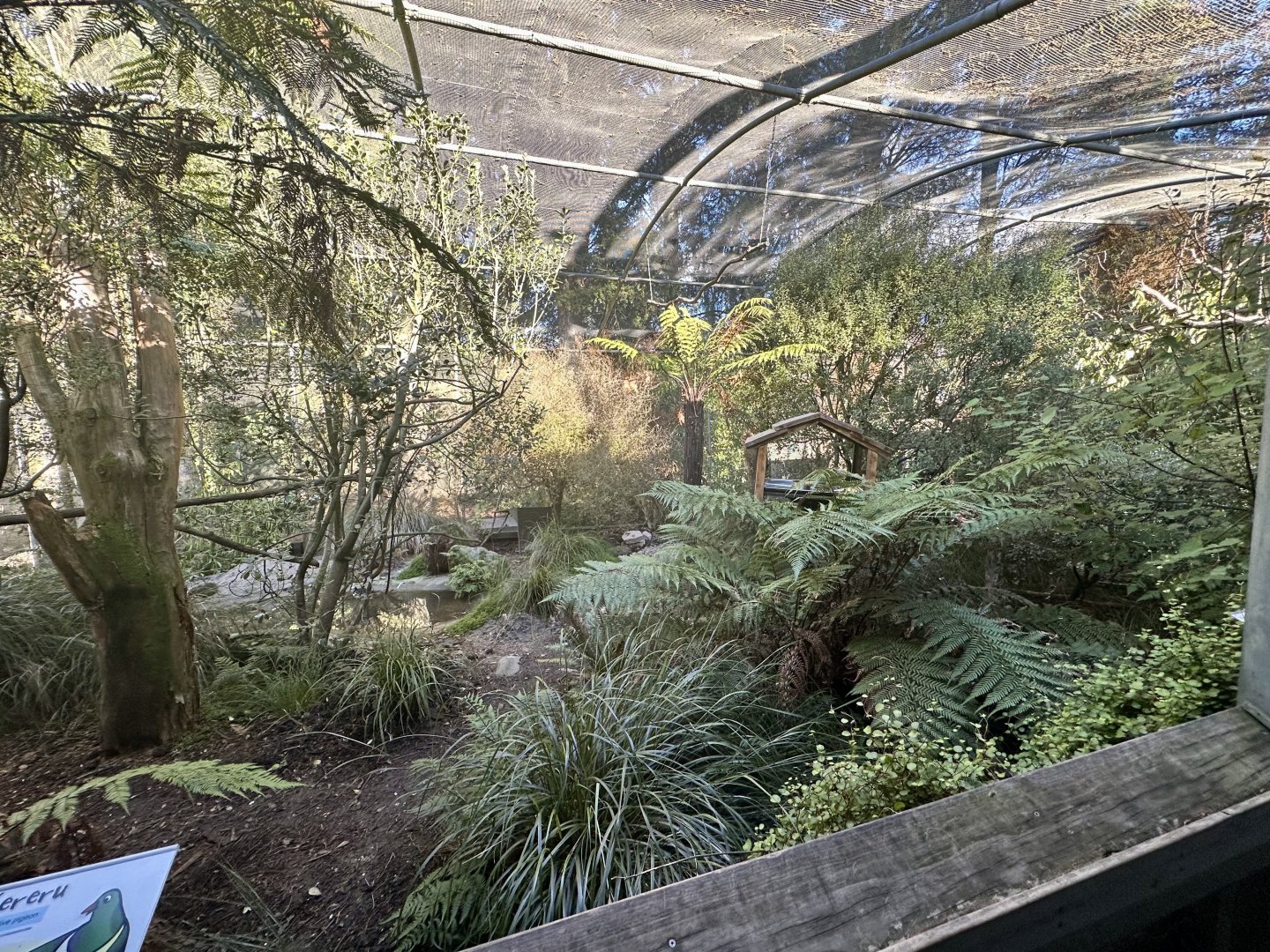 Walkthrough Aviary
