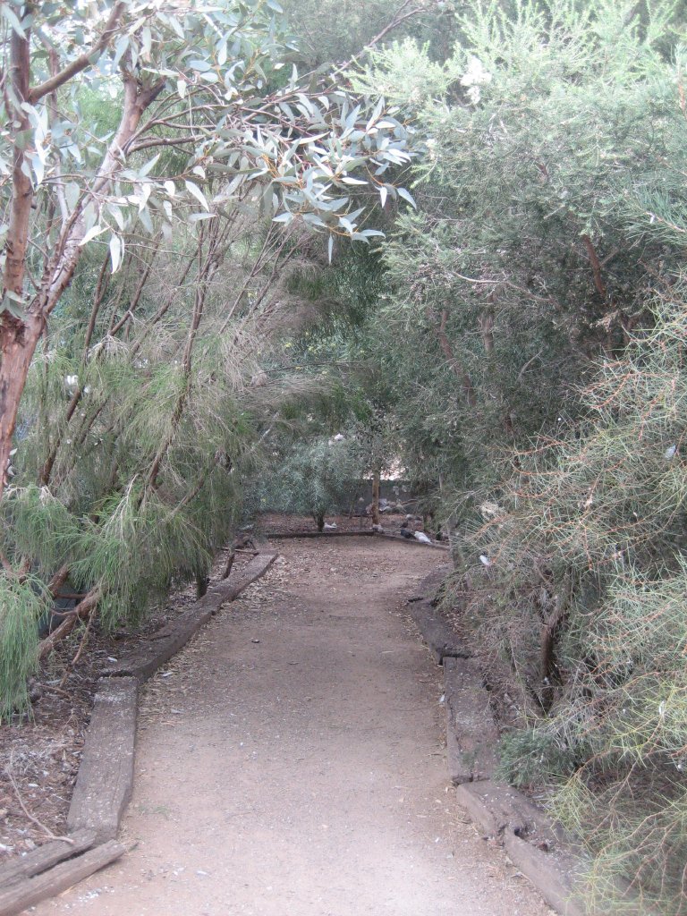 Walkthrough Barbary dove aviary