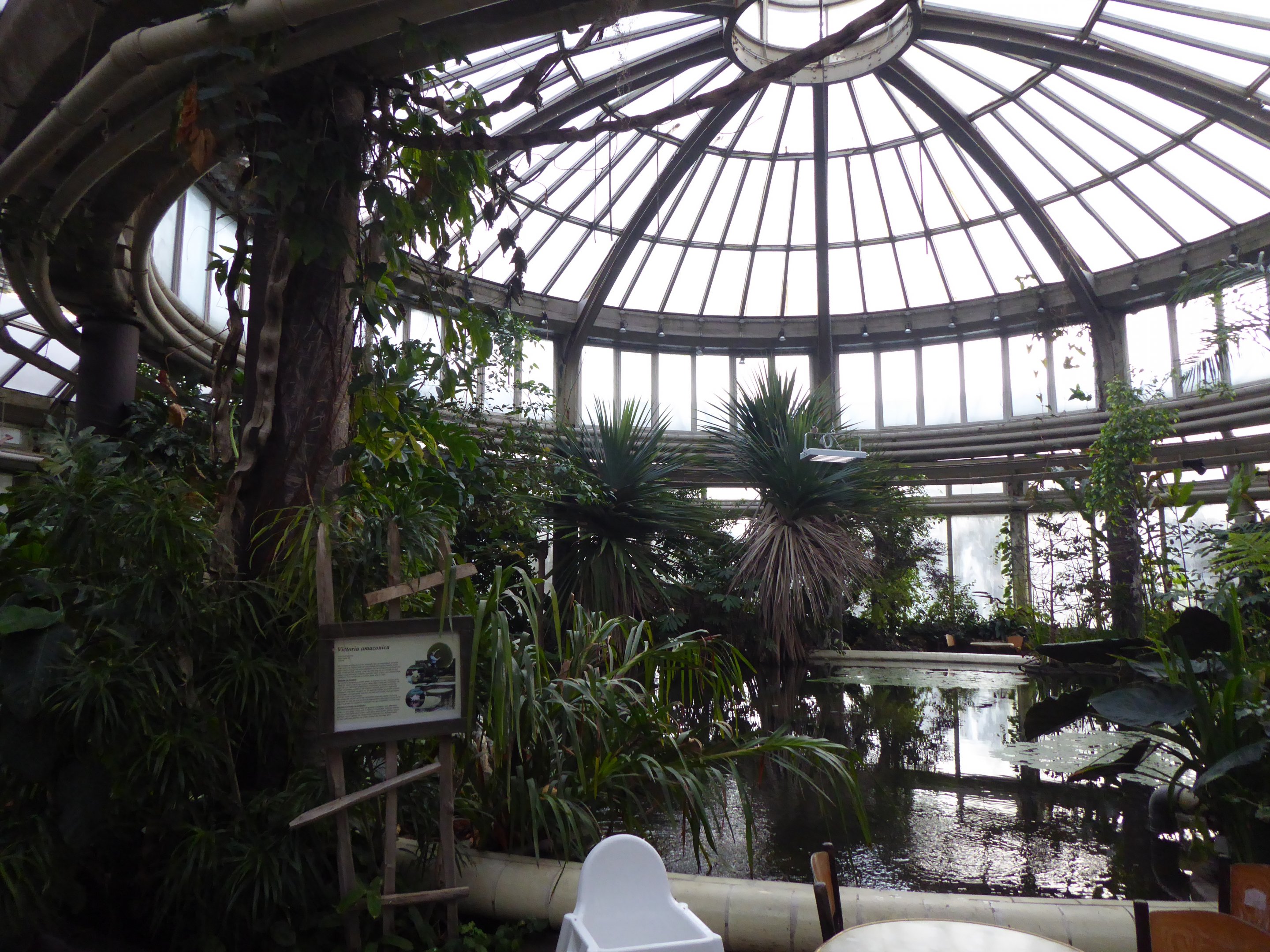 Walkthrough bird conservatory in the Rivièrahal