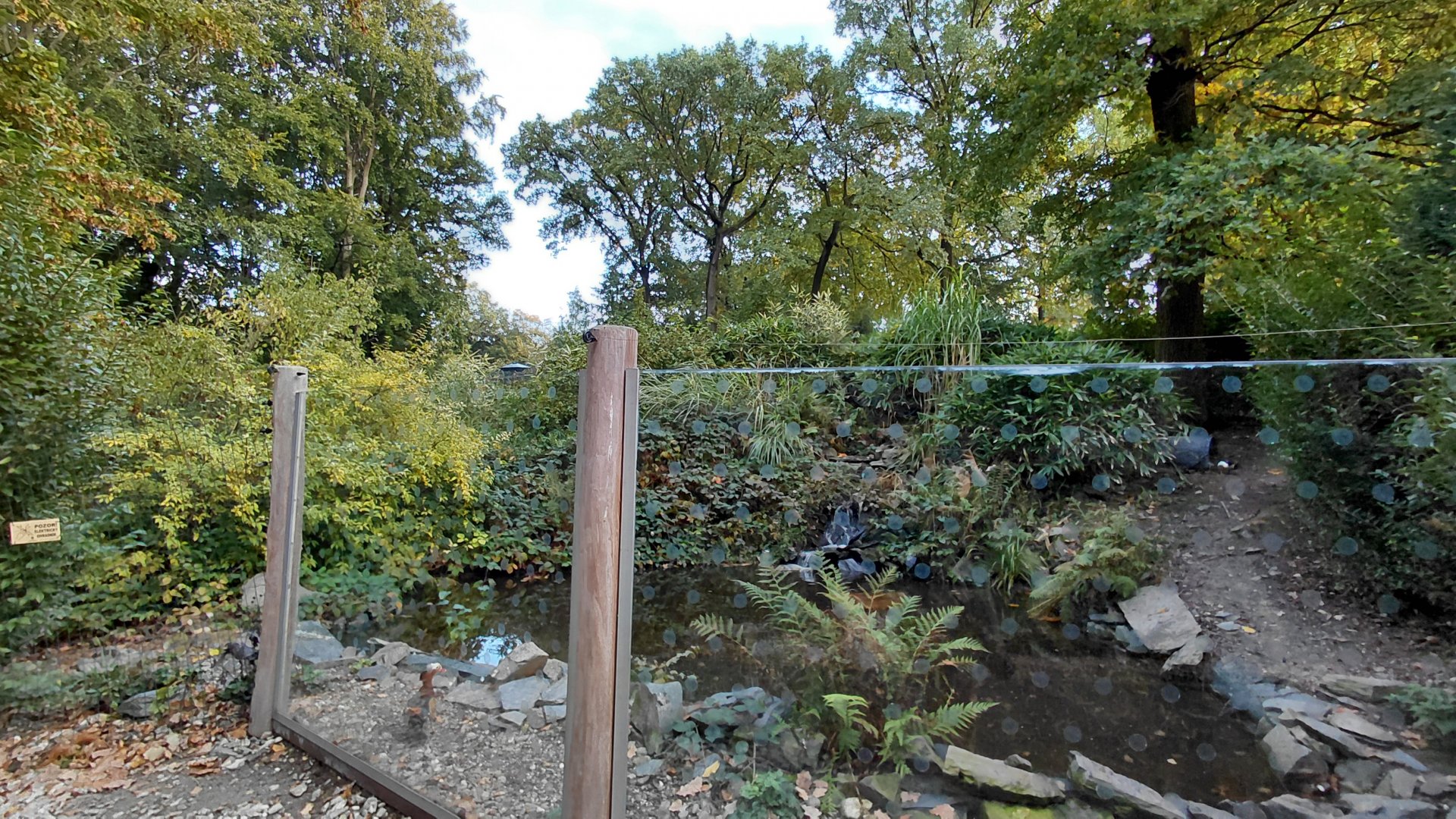 (Walkthrough) crane exhibit