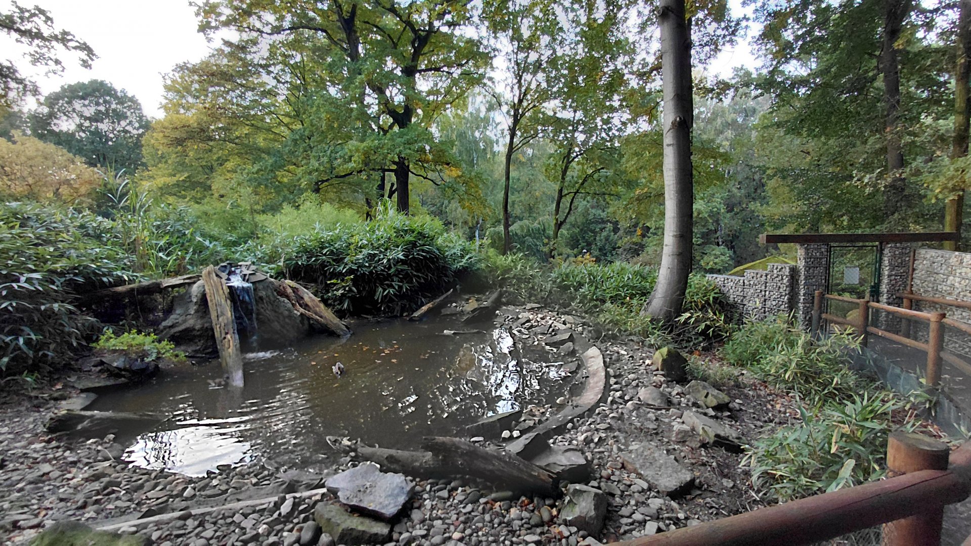(Walkthrough) crane exhibit