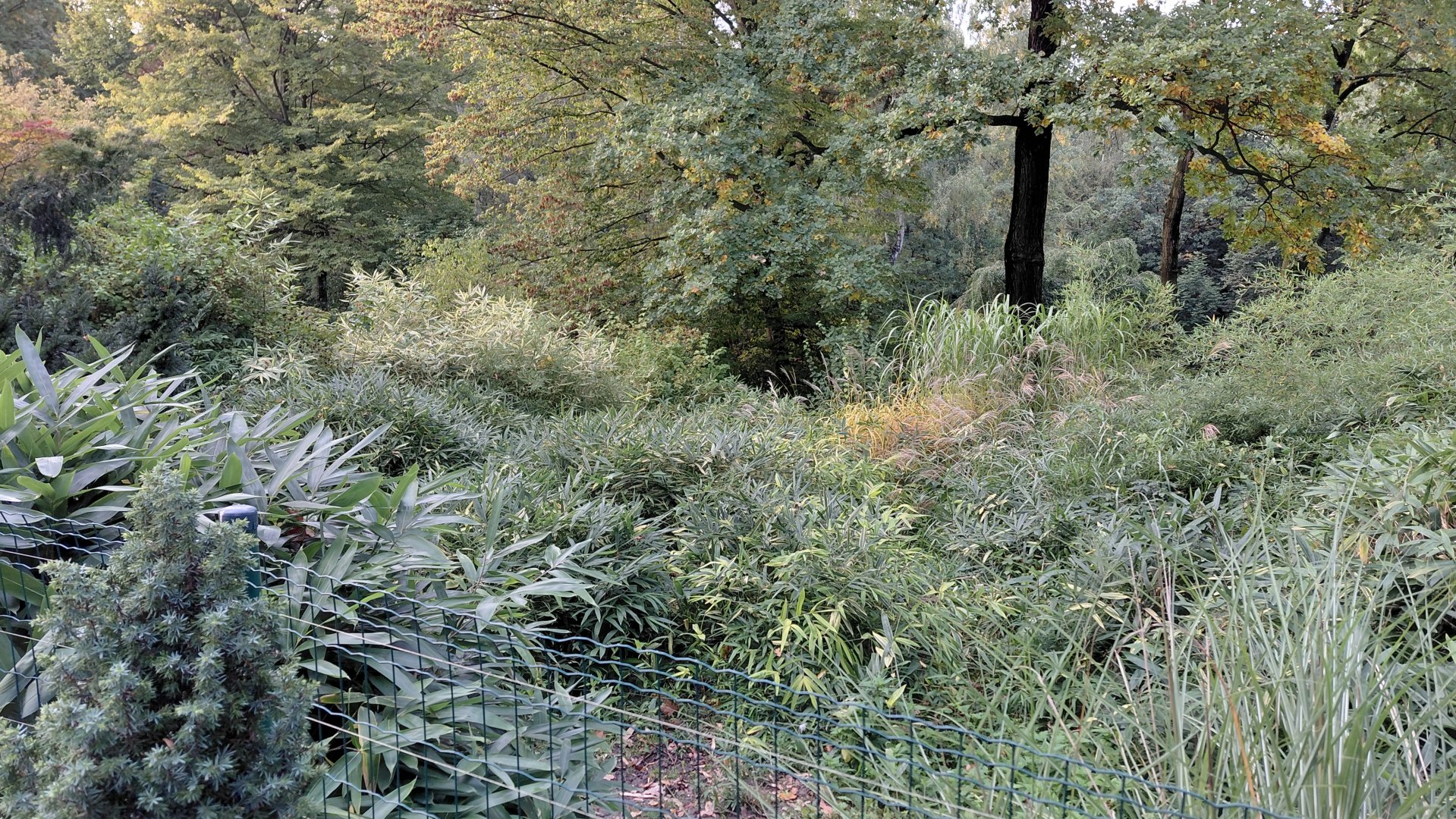 (Walkthrough) crane exhibit