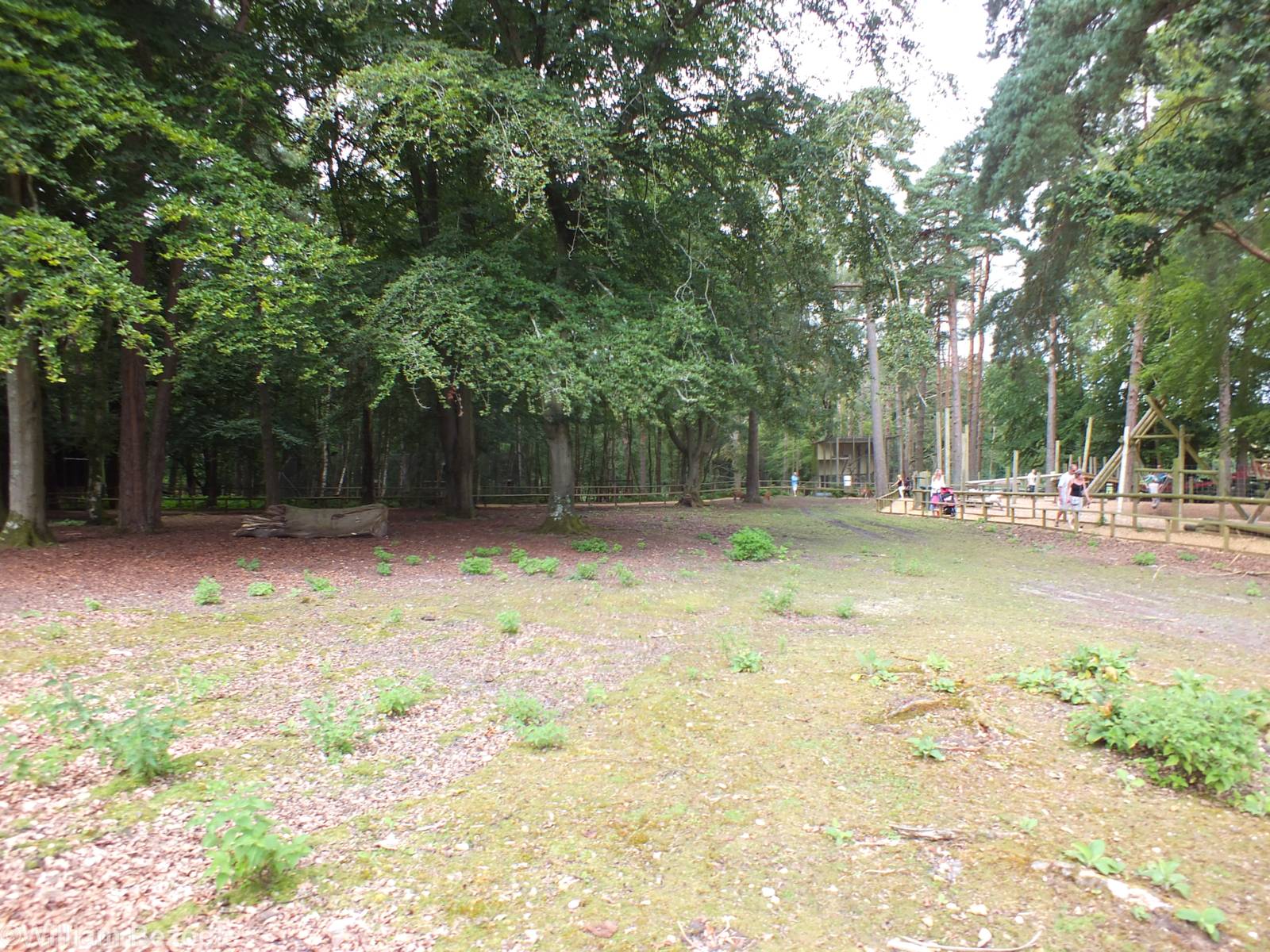 Walkthrough Deer Enclosure