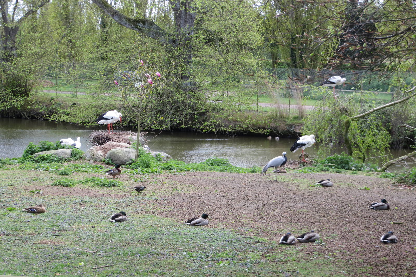 Walkthrough enclosure 060515