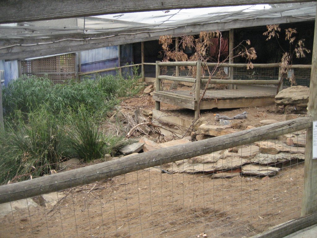 Walkthrough enclosure for Kookaburras, possums, bettongs, potoroos.