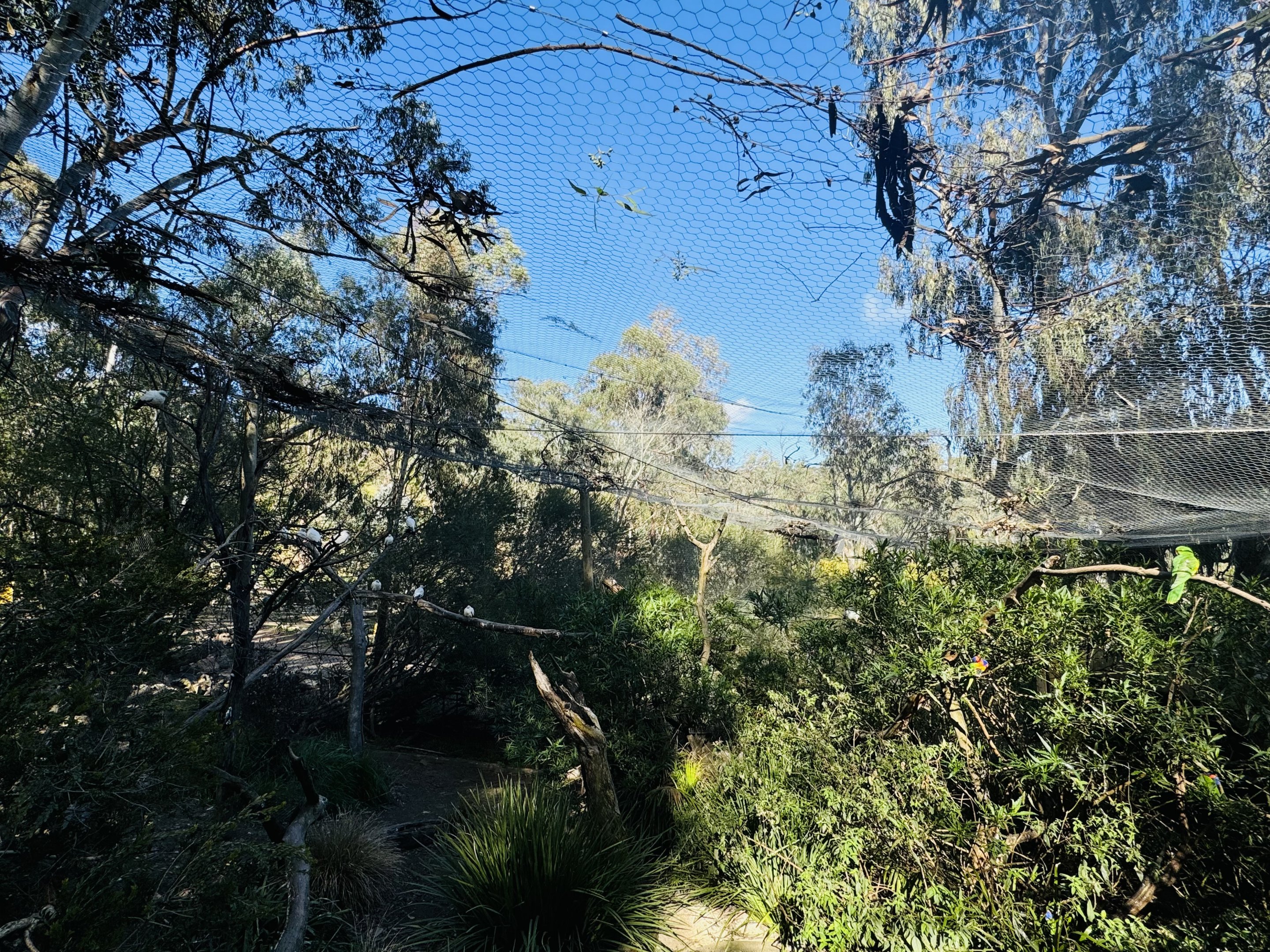 Walkthrough entrance aviary