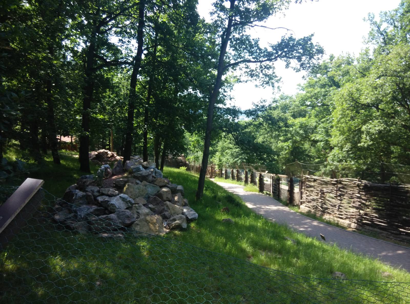 Walkthrough exhibit for Yellow-footed Rock-wallabies