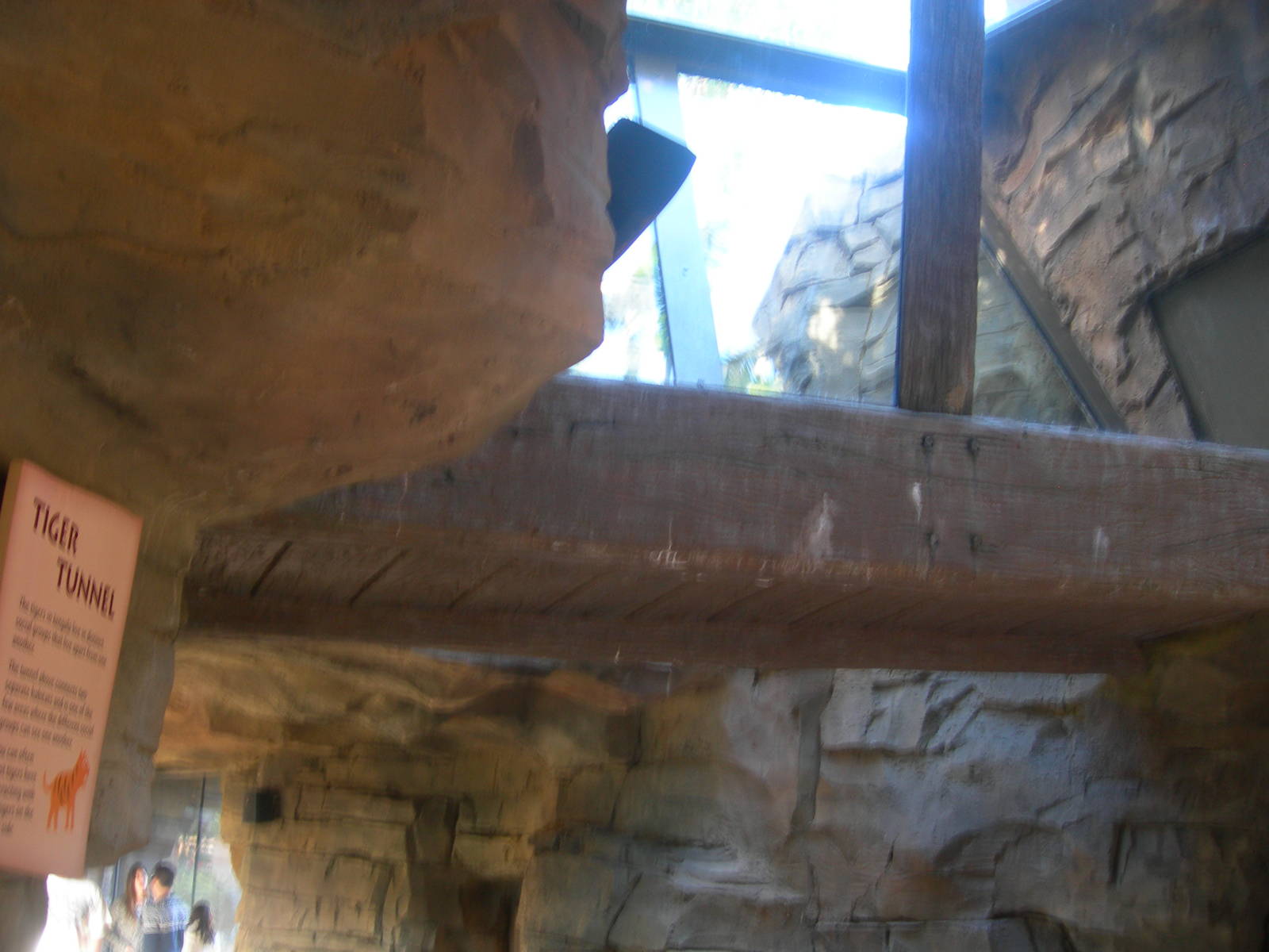 Walkthrough for Tigers