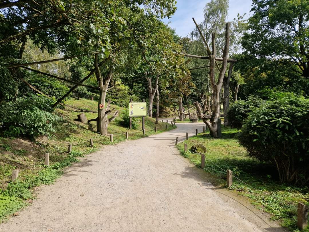 Walkthrough Guereza exhibit