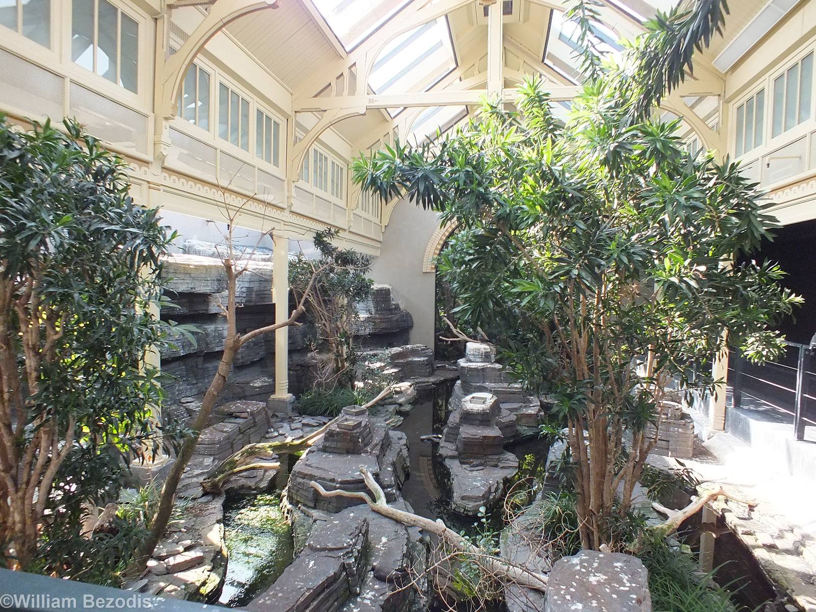Walkthrough Inca Tern Enclosure