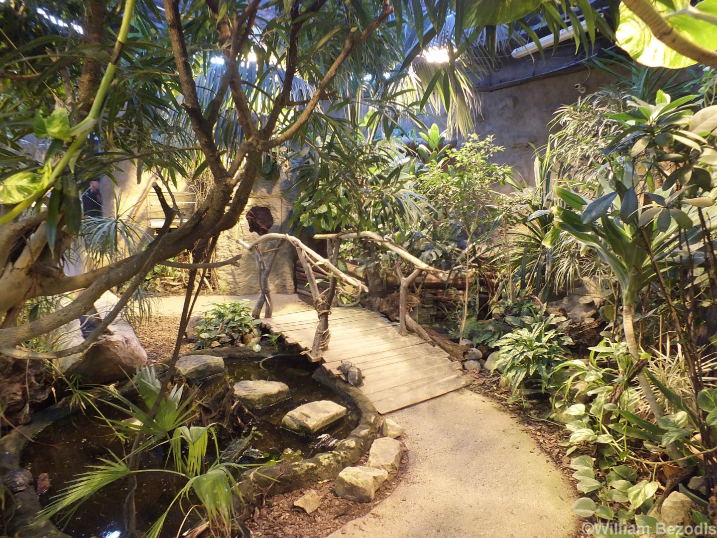 Walkthrough 'Jungle' in the Terrarium Building
