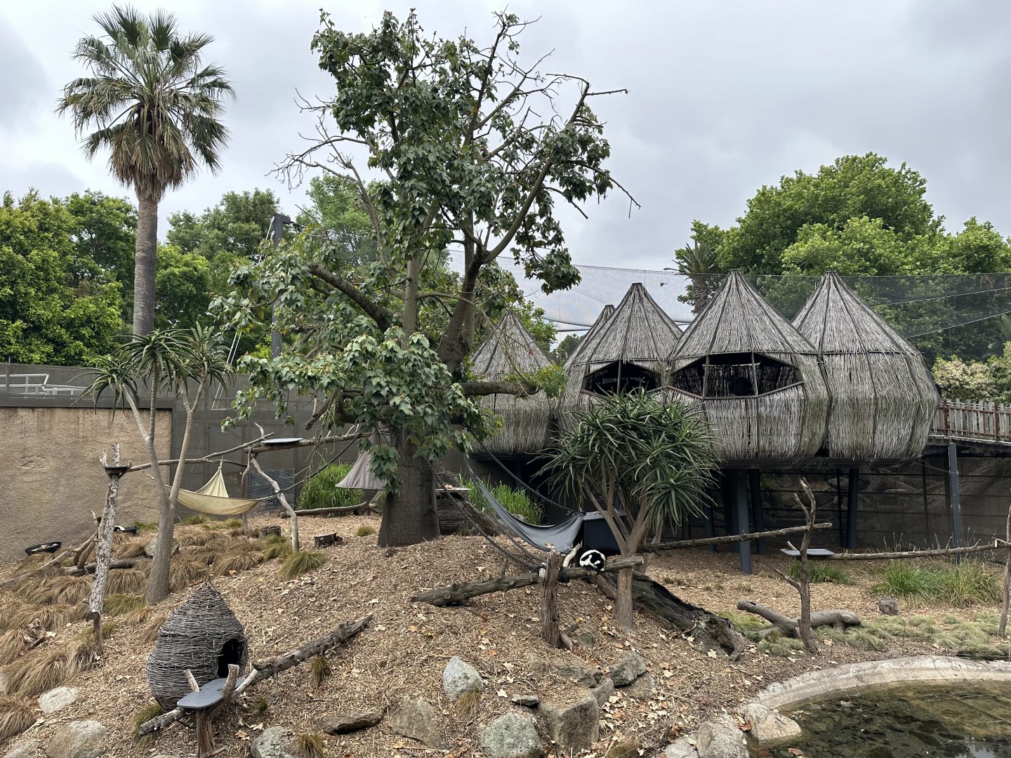 Walkthrough Lemur Exhibit