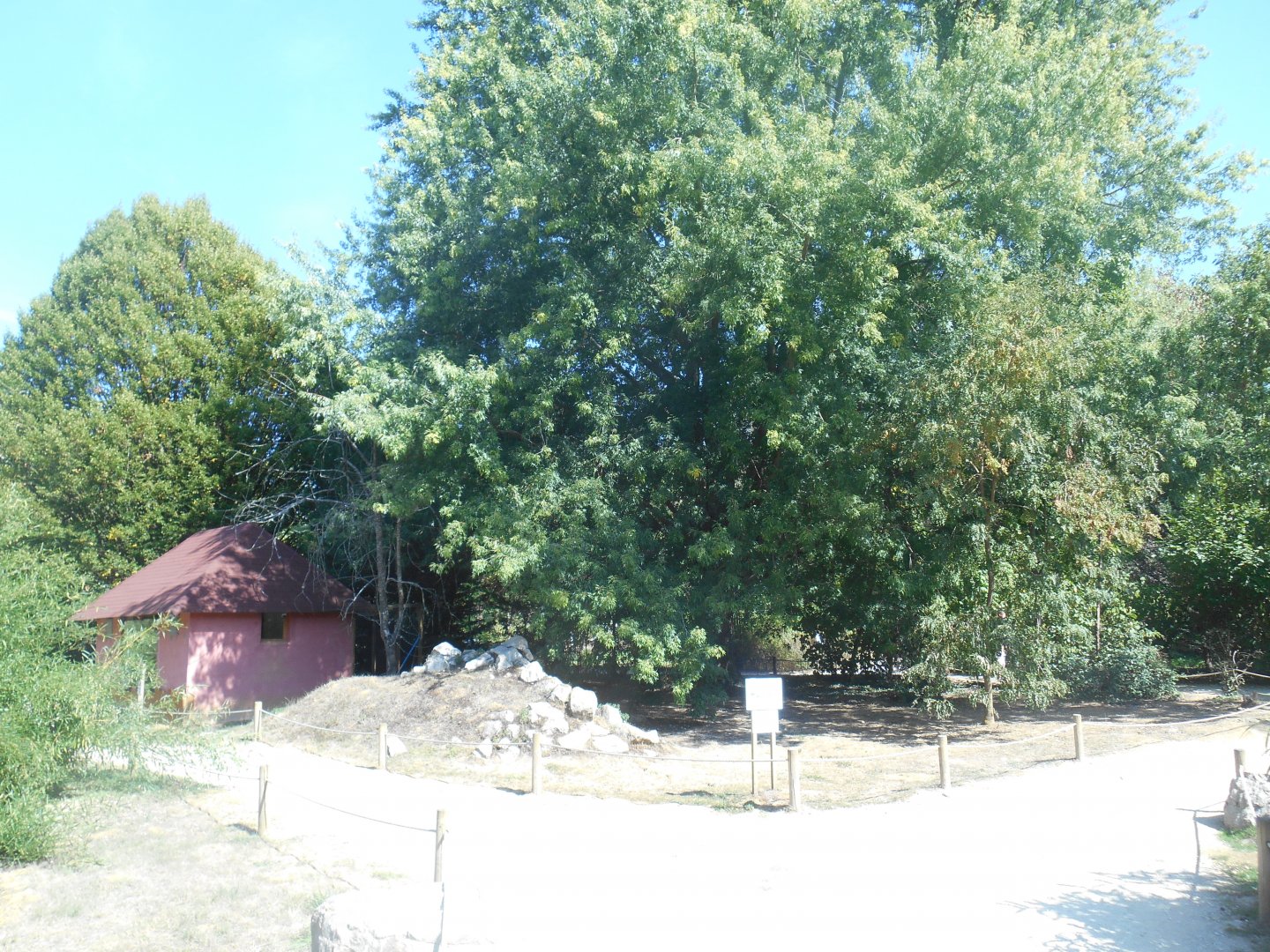 Walkthrough Lemurs Exhibit
