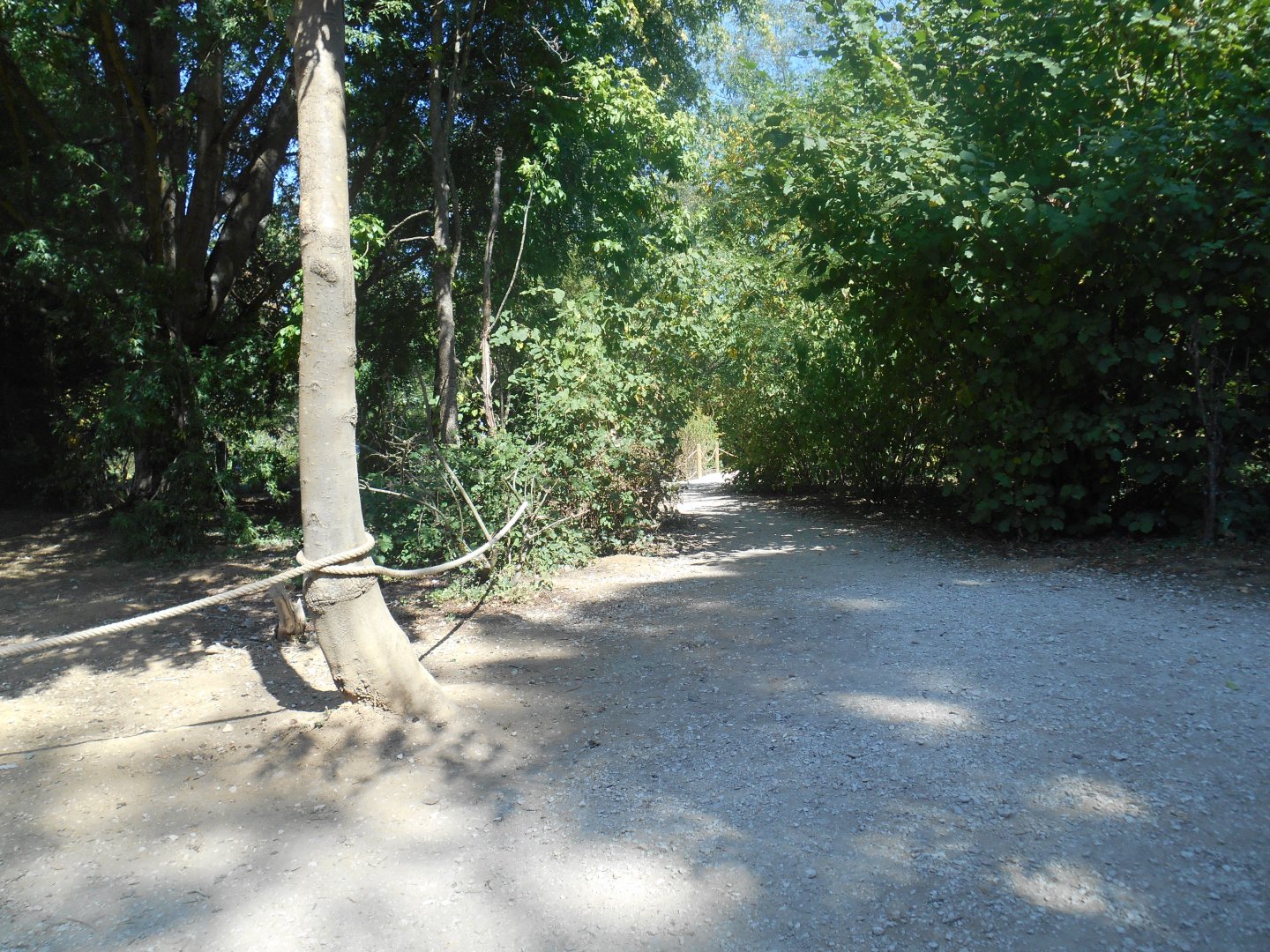Walkthrough Lemurs Exhibit