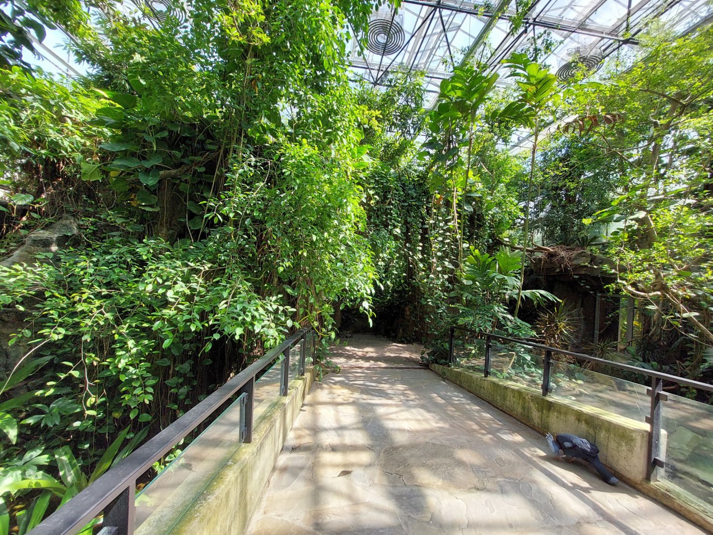 Walkthrough Metzelaarkas 2021