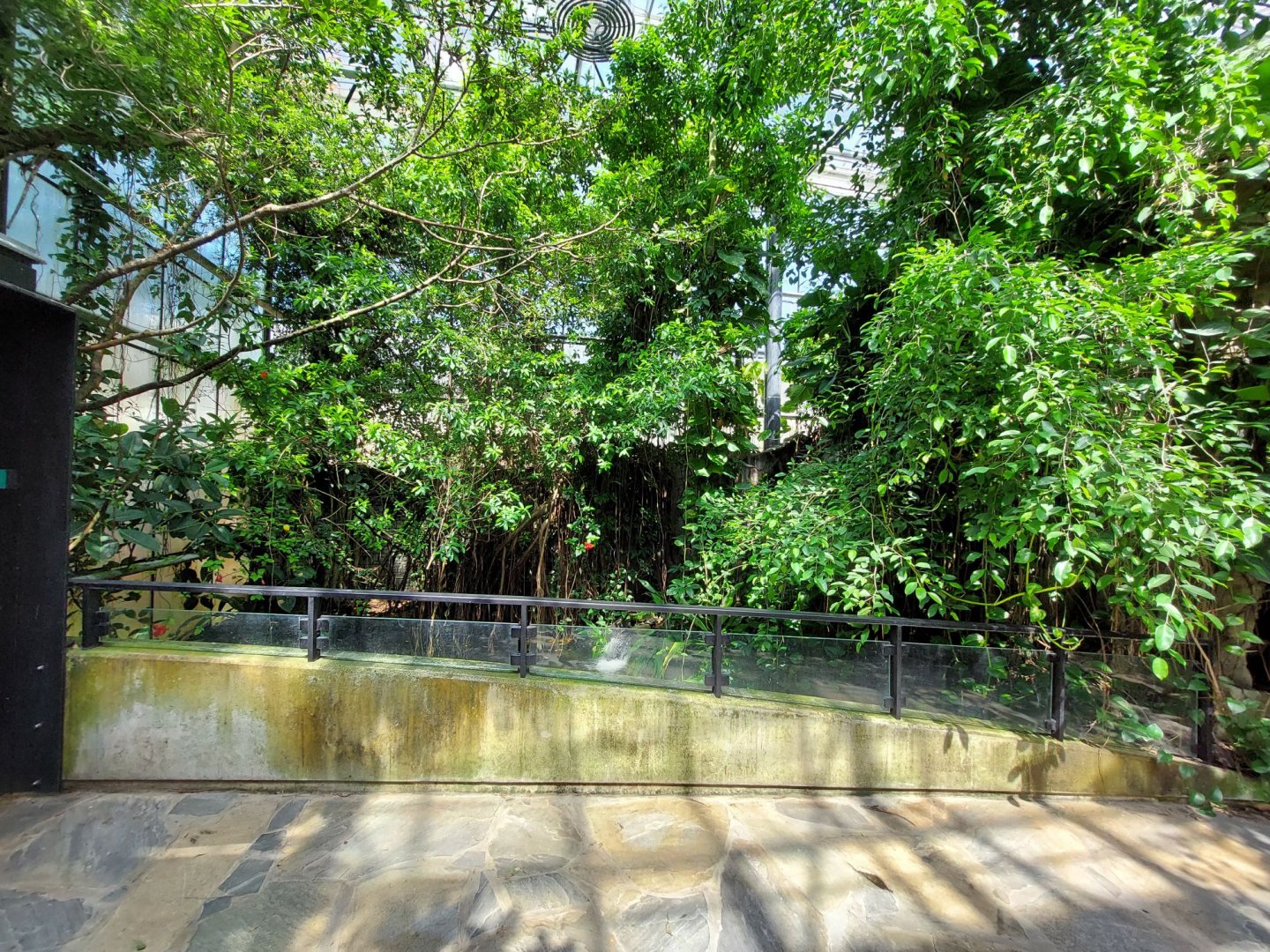 Walkthrough Metzelaarkas 2021