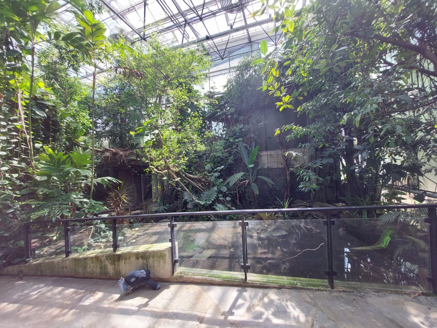 Walkthrough Metzelaarkas 2021